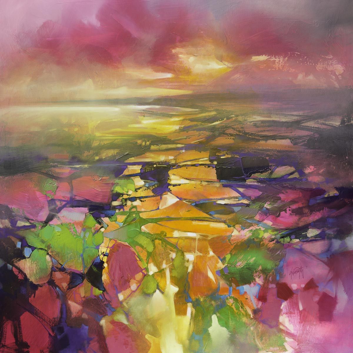 Fragments from above by Scott Naismith