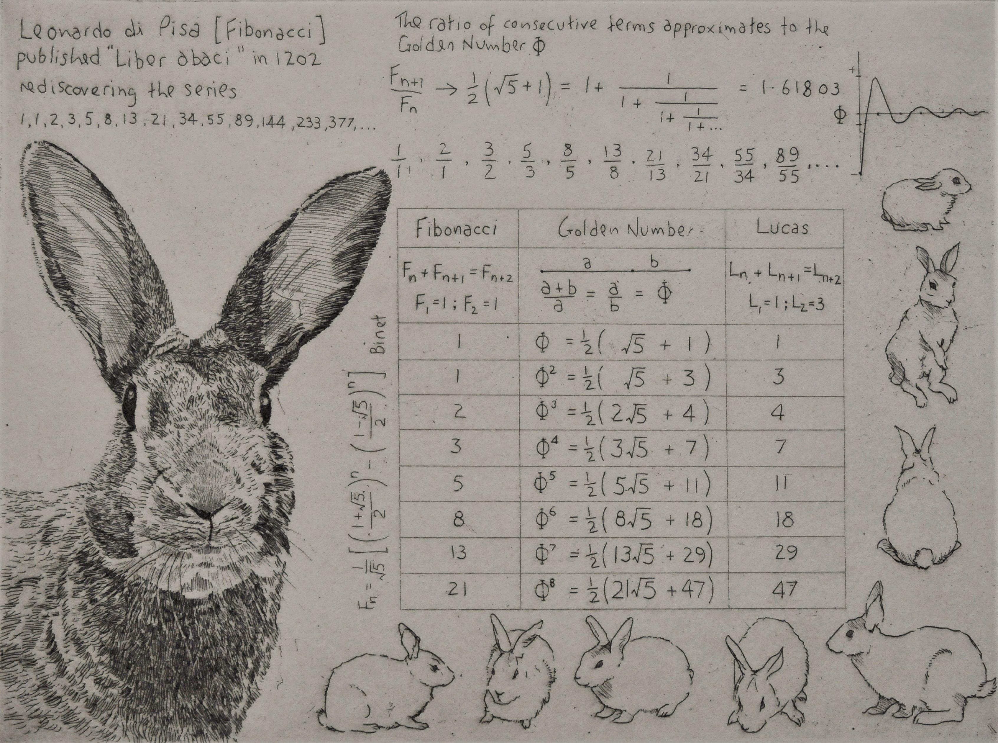 Fibonacci's Rabbit by Will Taylor