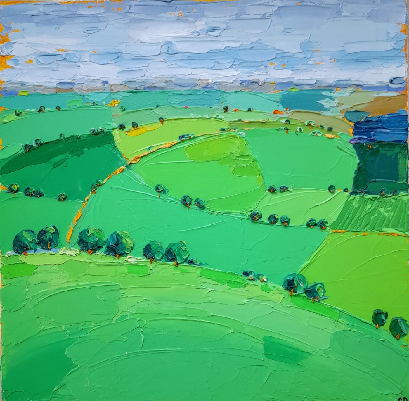 Cotswold Fields by Georgie Dowling