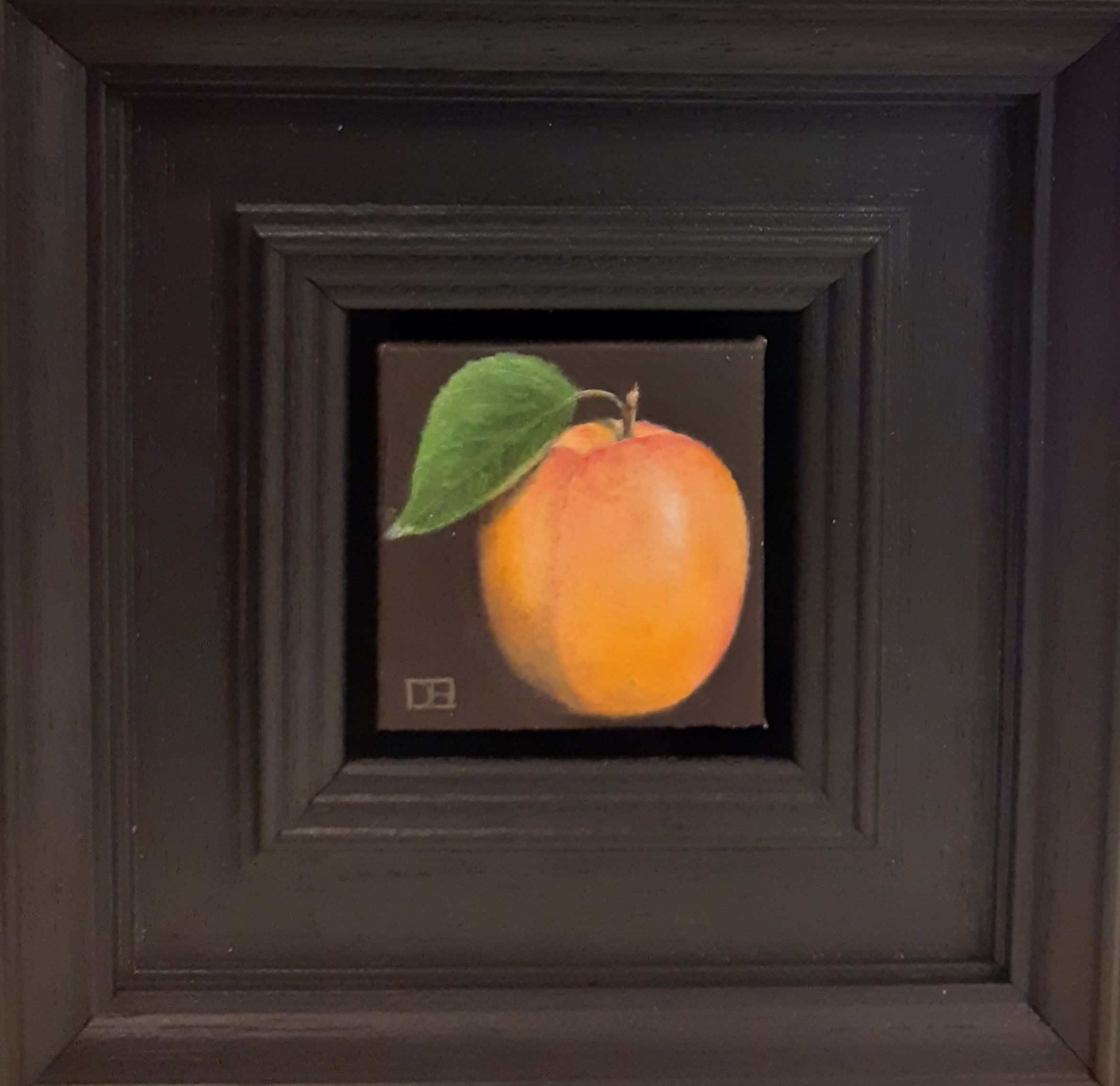 Pocket Apricot by Dani Humberstone