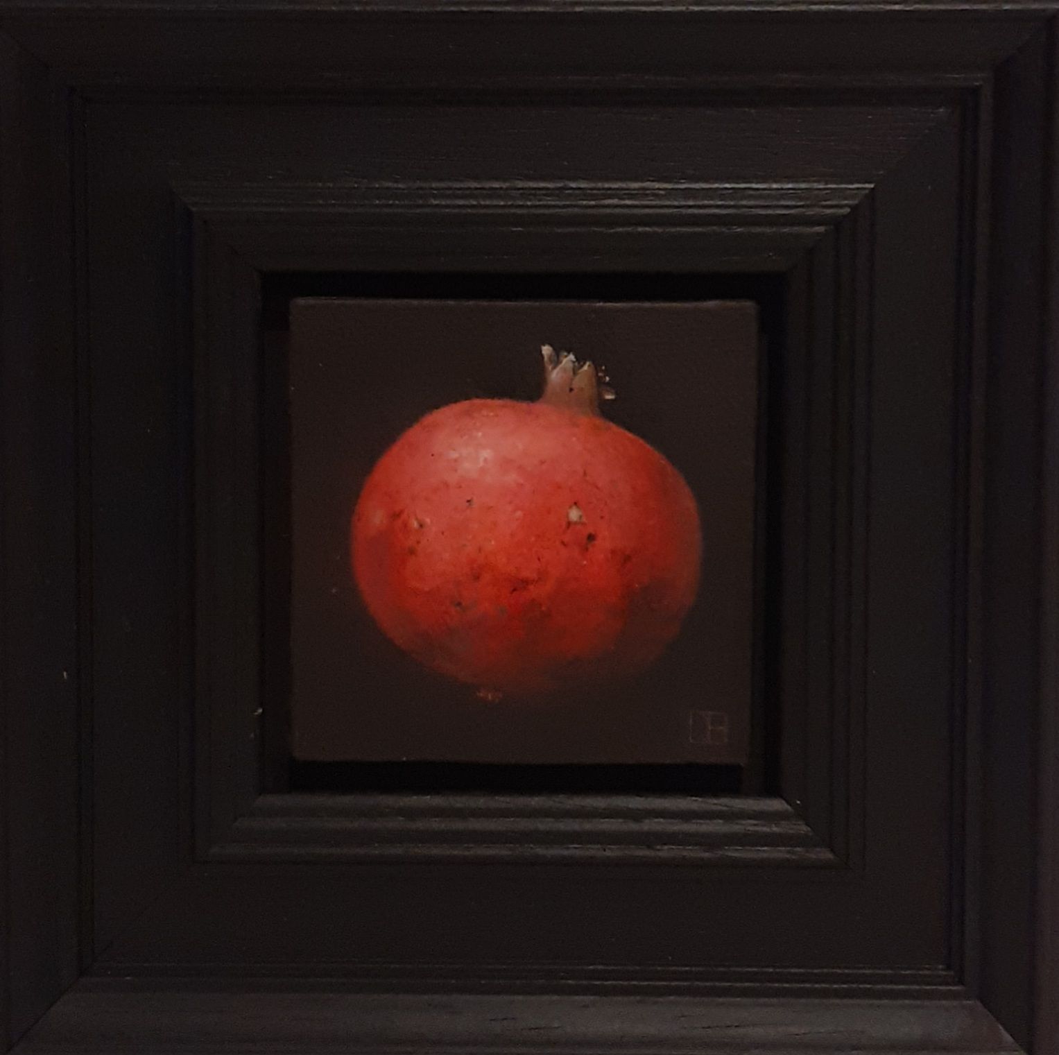 Pocket Bright Red Pomegranate by Dani Humberstone