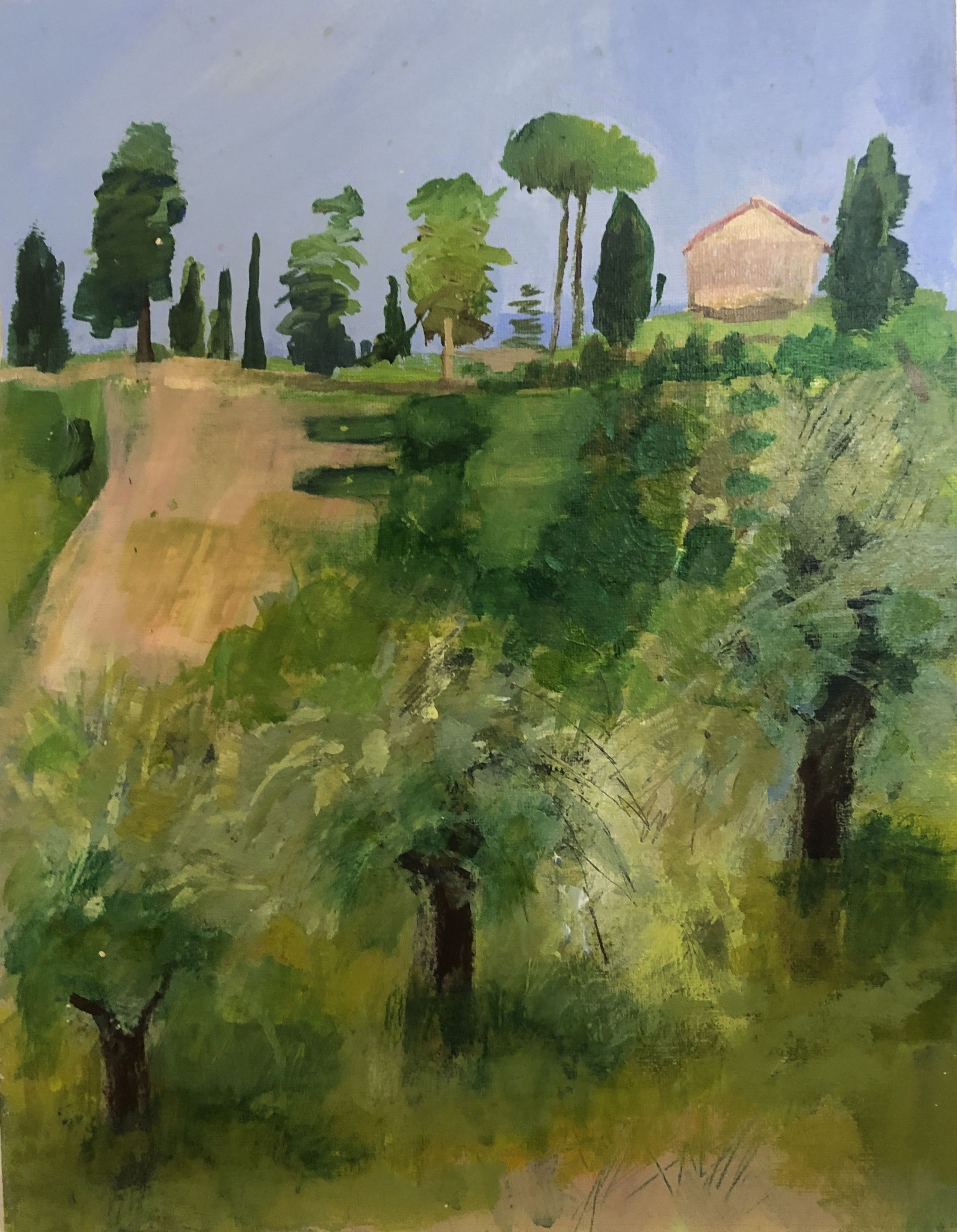 Italian vineyards  by Maggie LaPorte-Banks