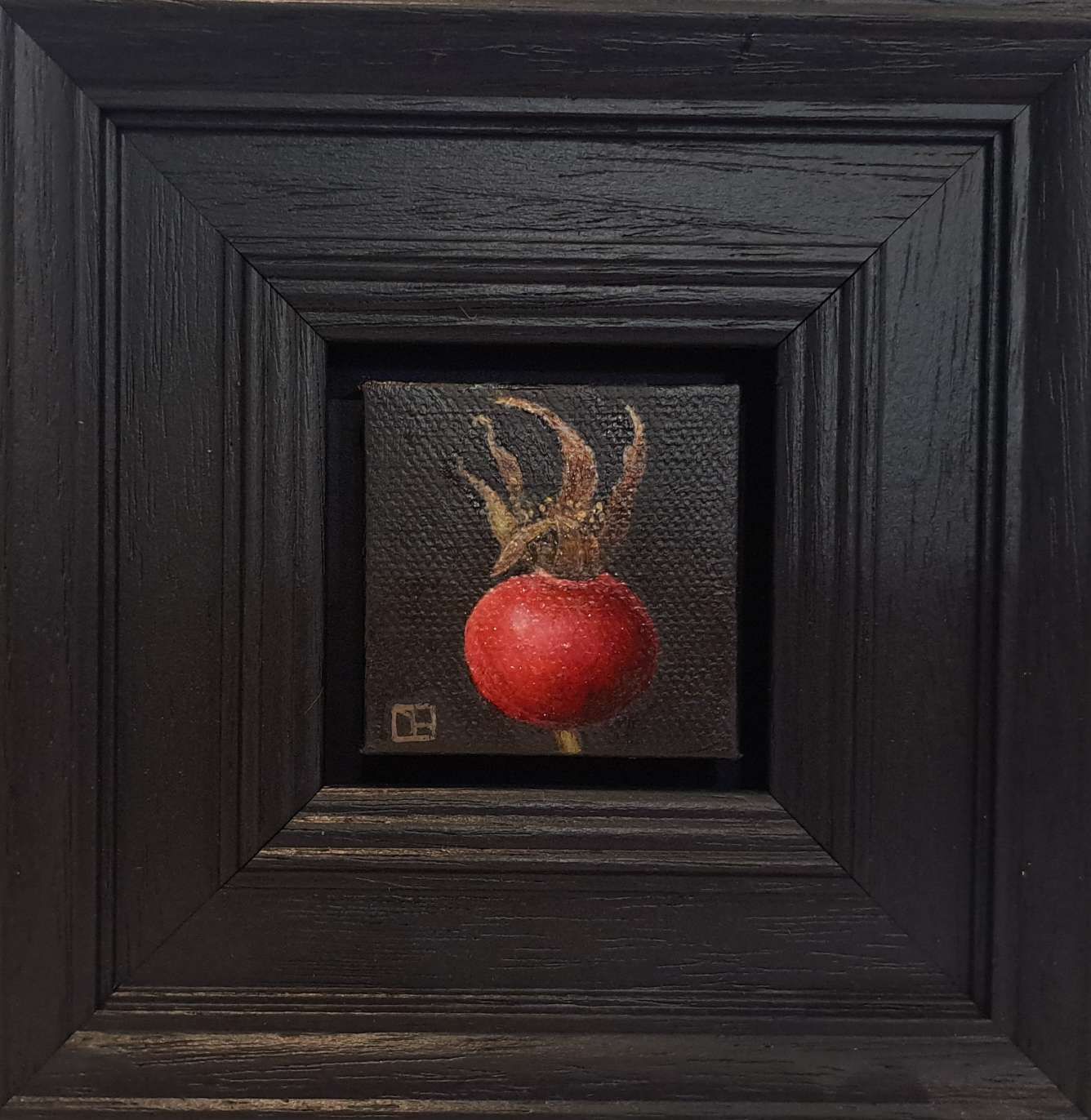 Pocket Red Rosehip  by Dani Humberstone