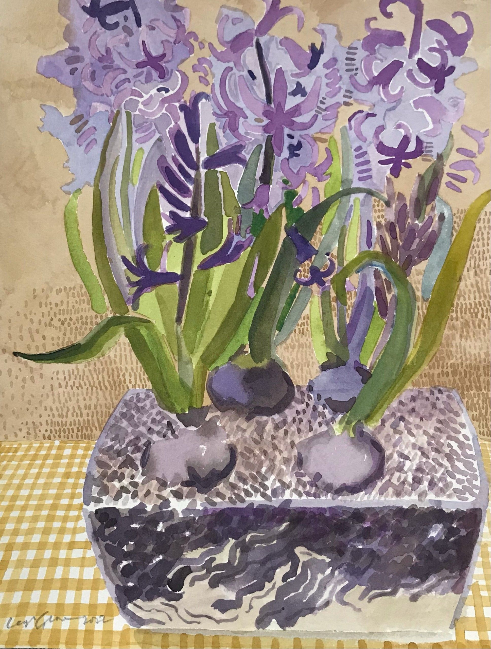 Hyacinth in glass vase by Leigh Glover