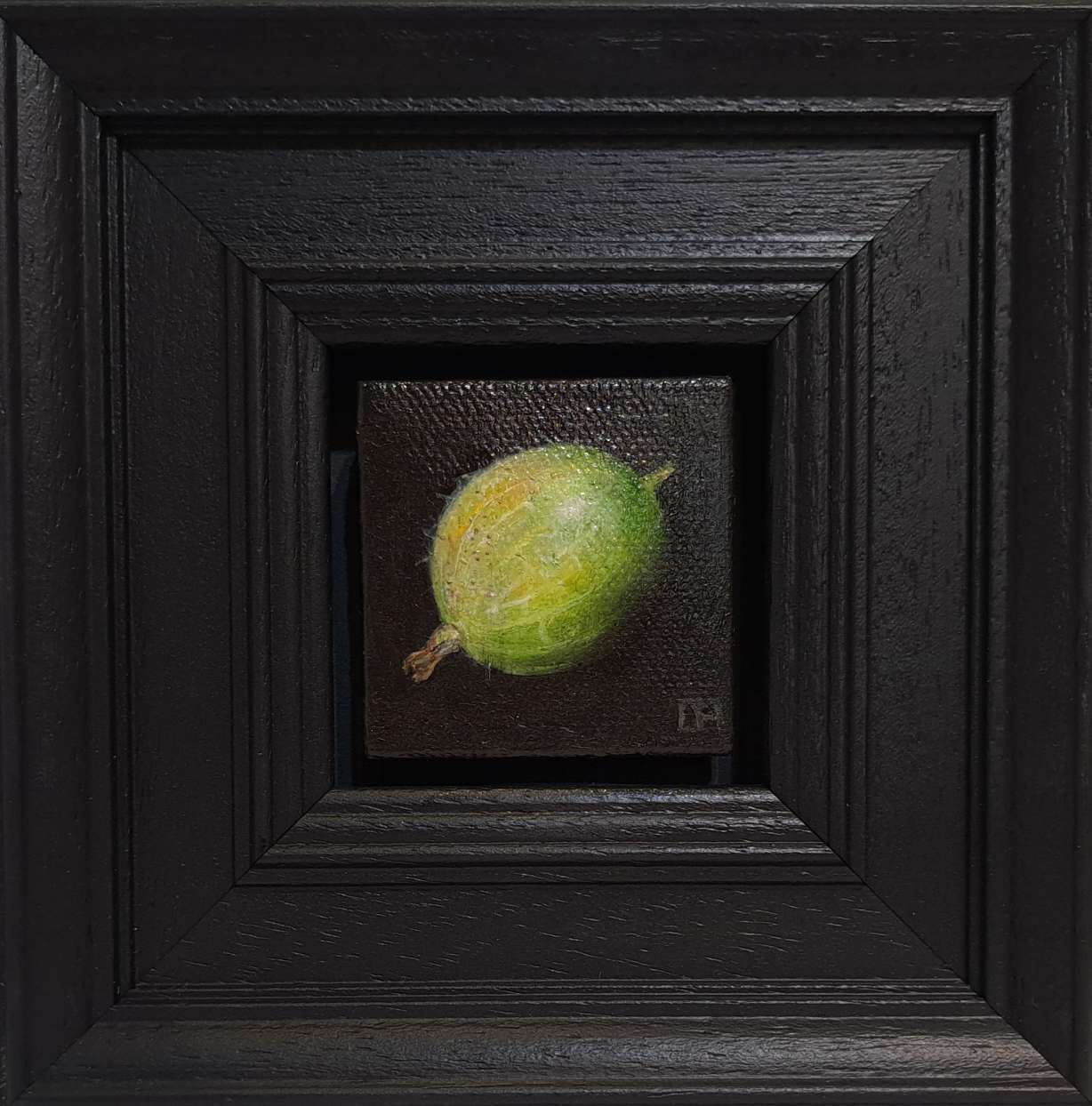 Pocket Green Gooseberry (Hairy) by Dani Humberstone