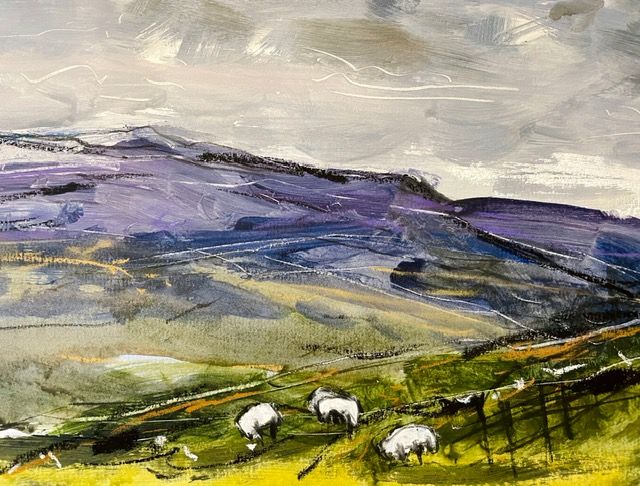 Highland sheep I by Natalie Bird - Secondary Image