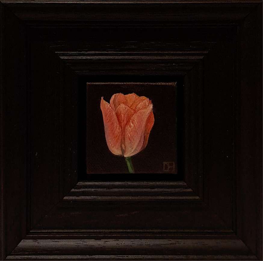 Pocket Sunset Dynasty Tulip by Dani Humberstone