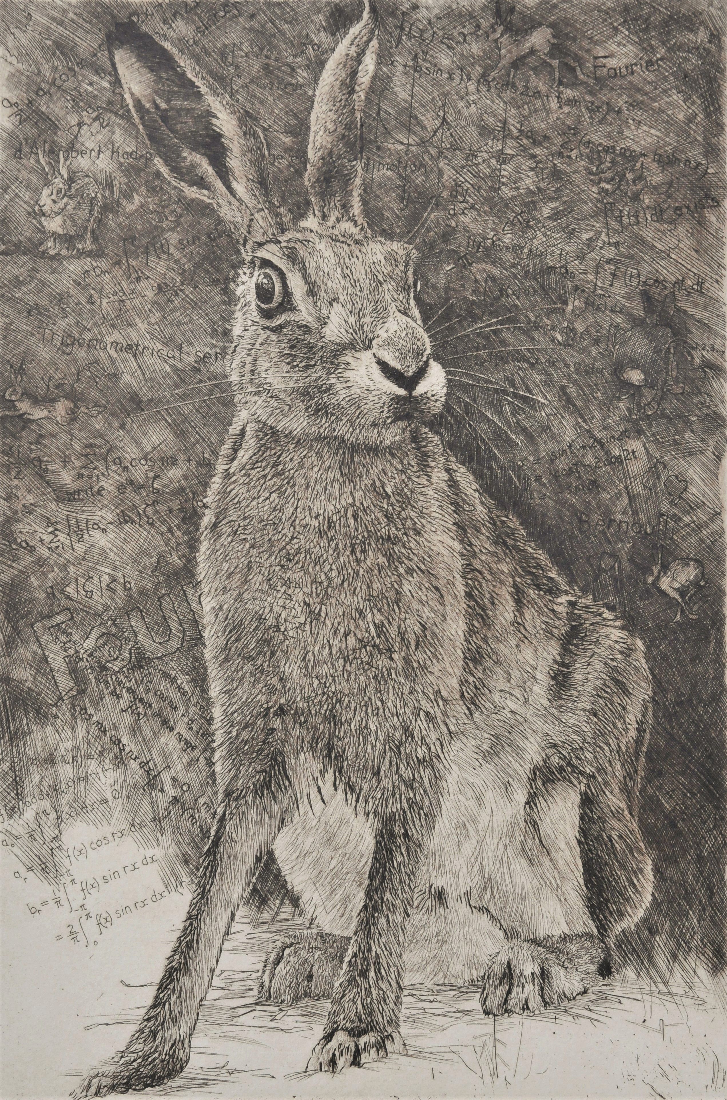 Fourier's Hare by Will Taylor
