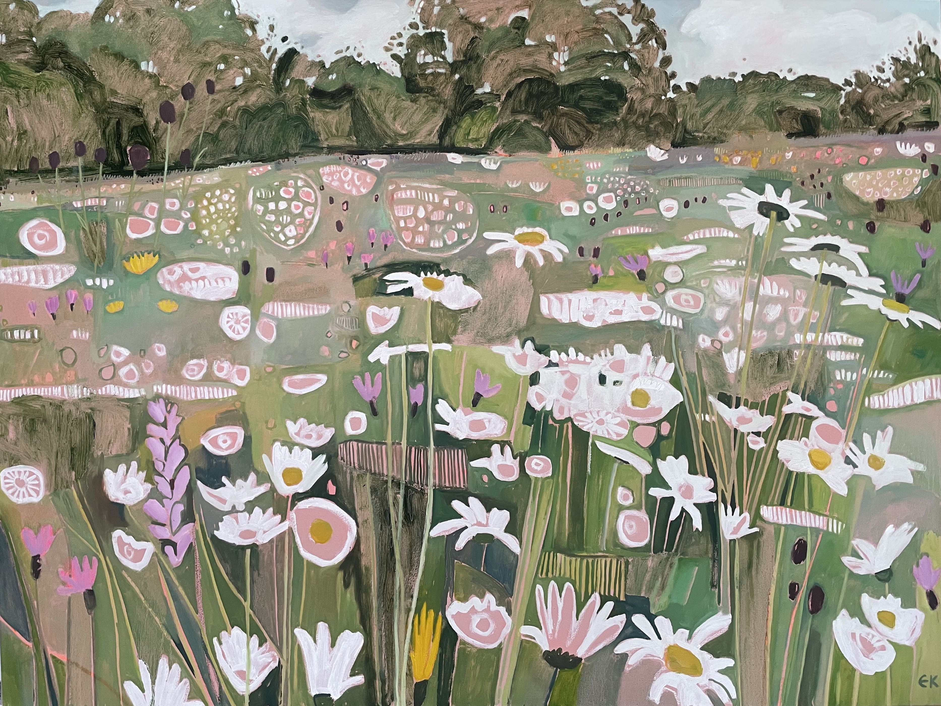 Daisies Galore at Ryewater by Elaine Kazimierczuk