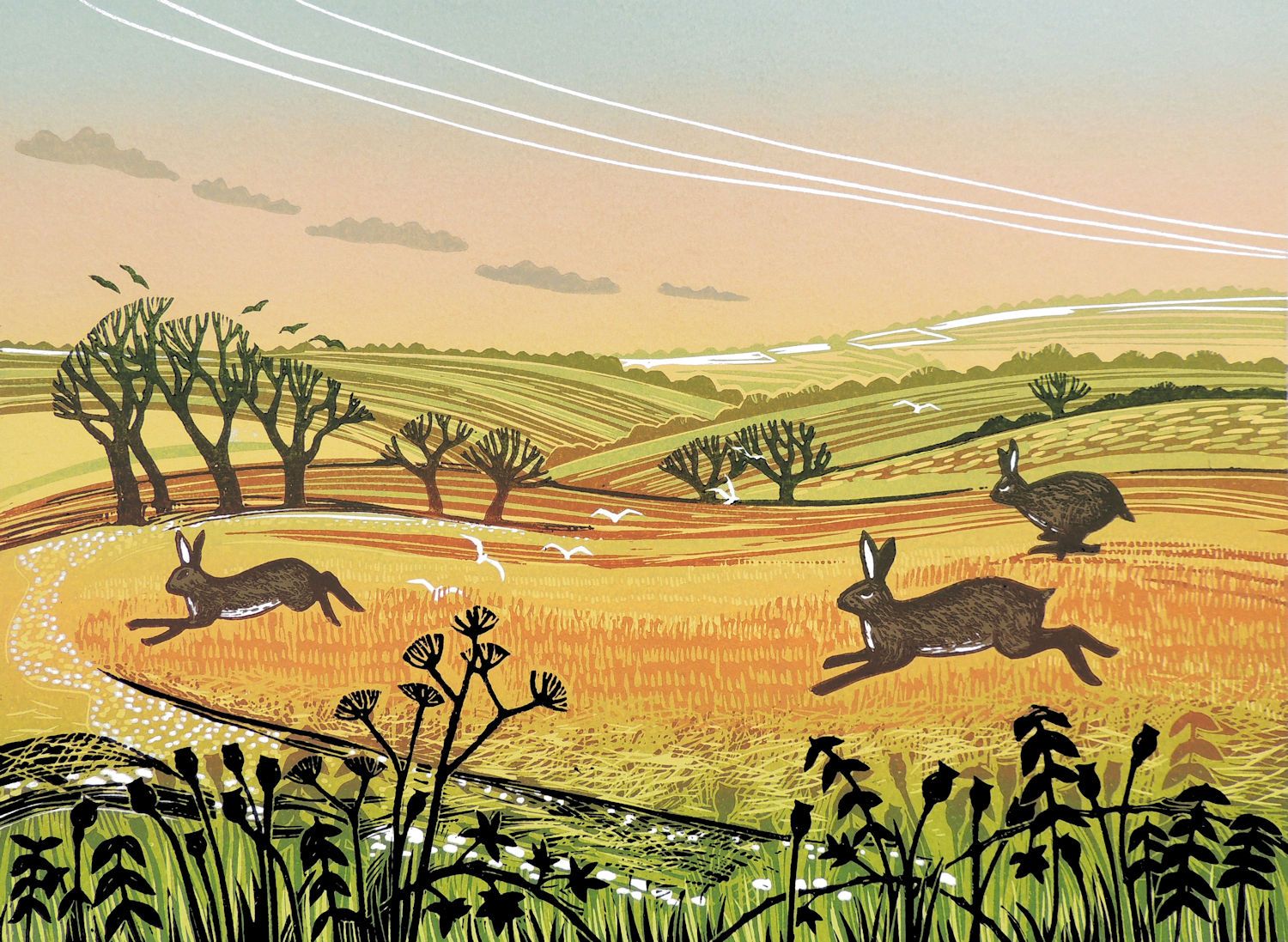 Running Hares by Rob Barnes