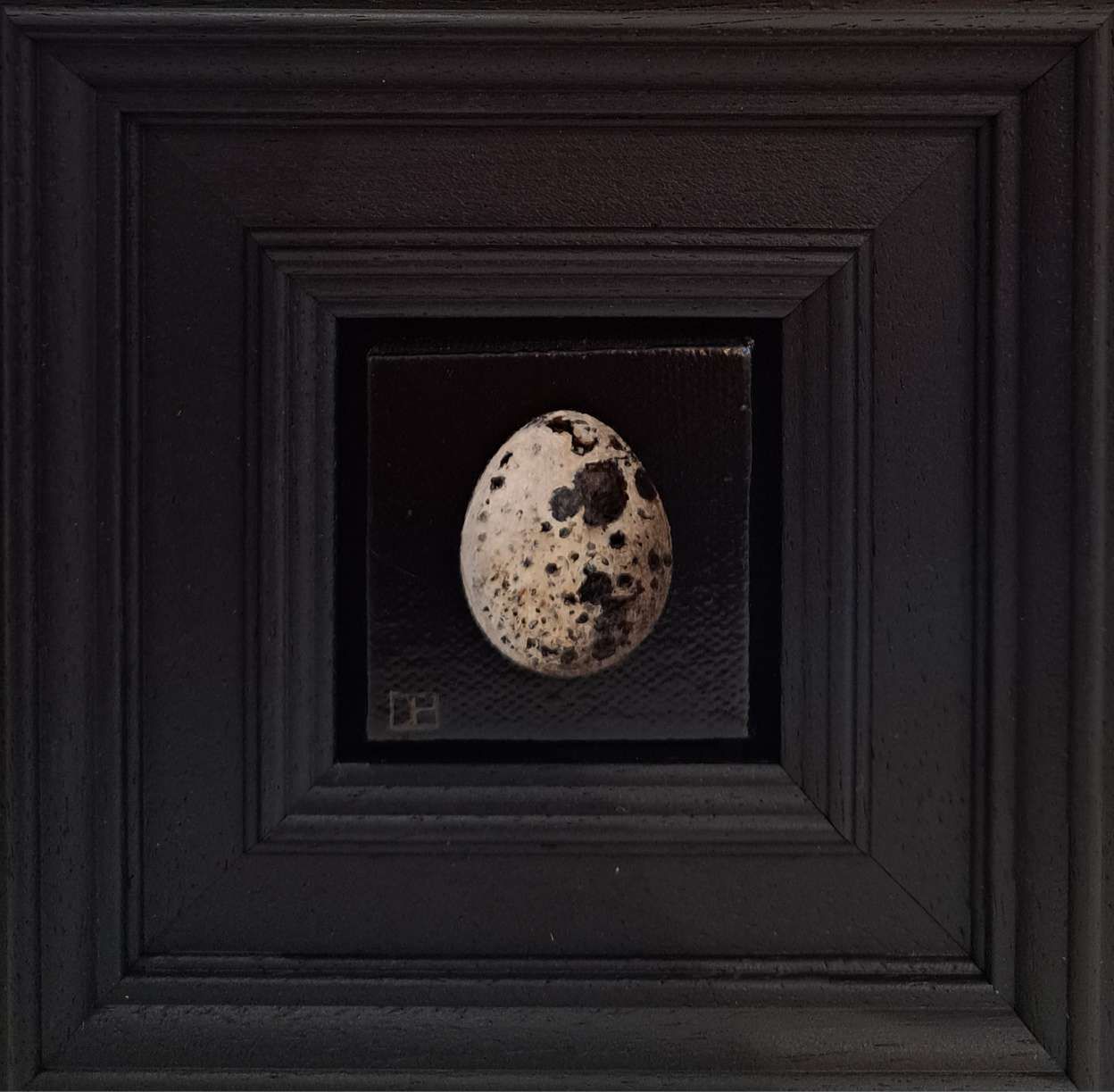 Pocket Quail's Egg No. 5 by Dani Humberstone