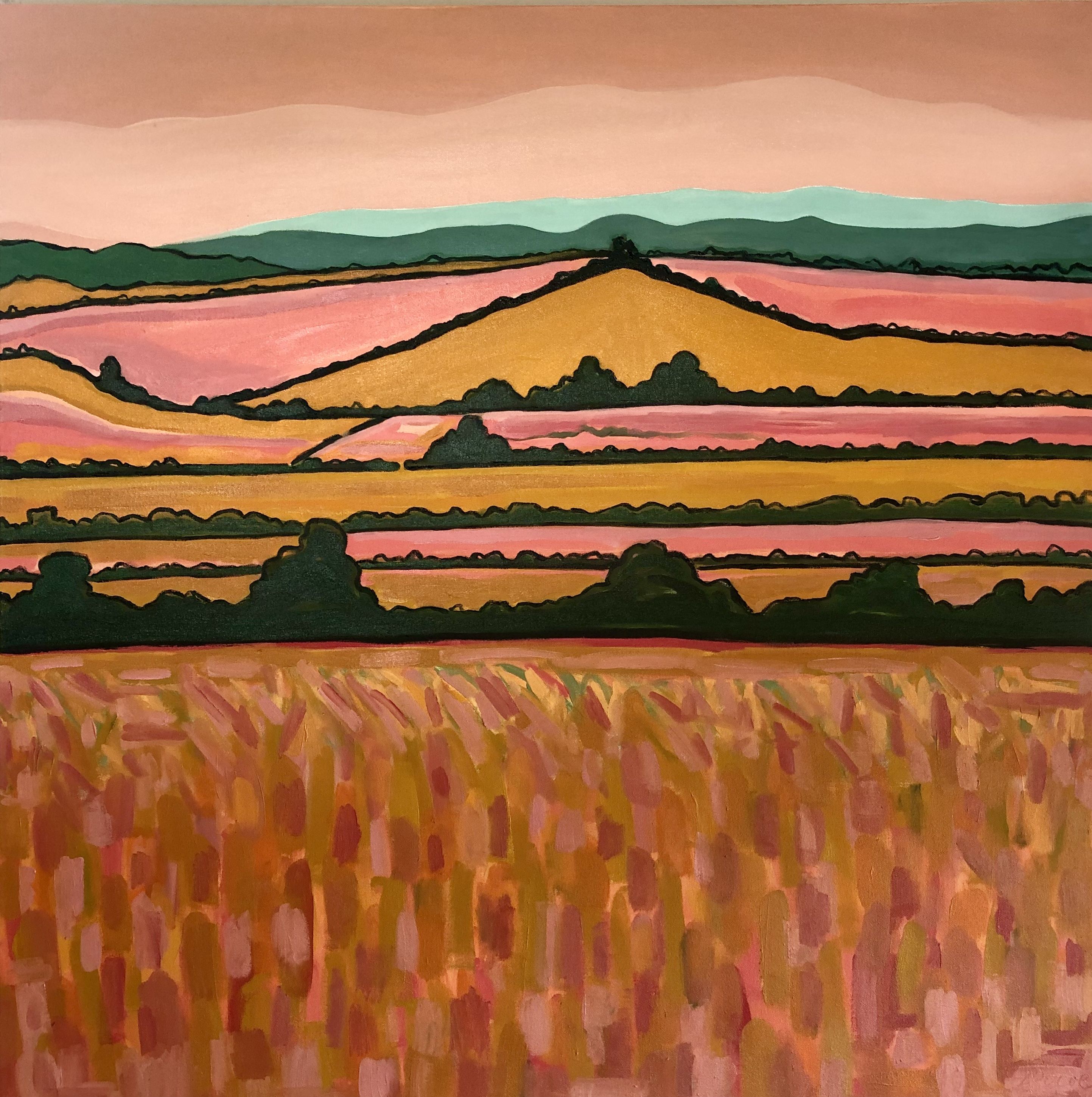 Pink Fields  by Alexa Roscoe