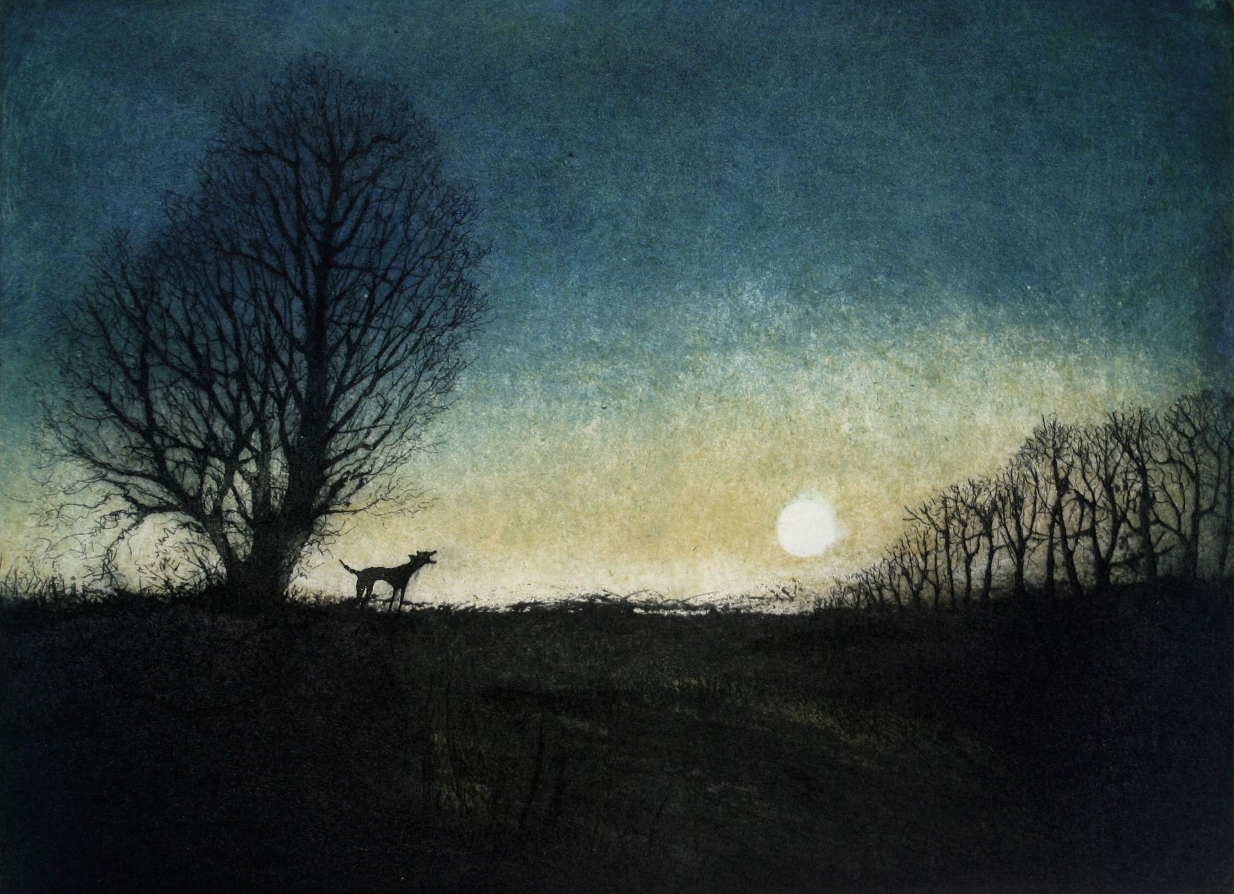 A Bark in the Night by Tim Southall