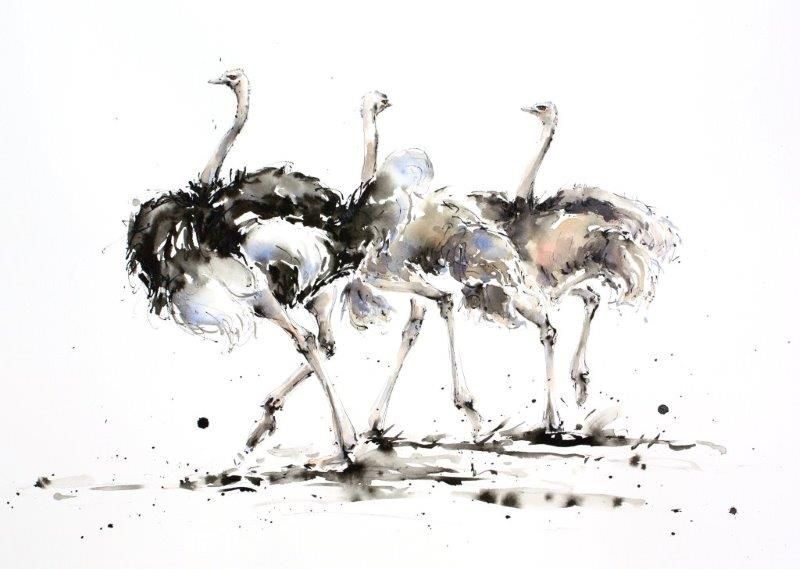 A Trio of Ostrich by Julia Cassels
