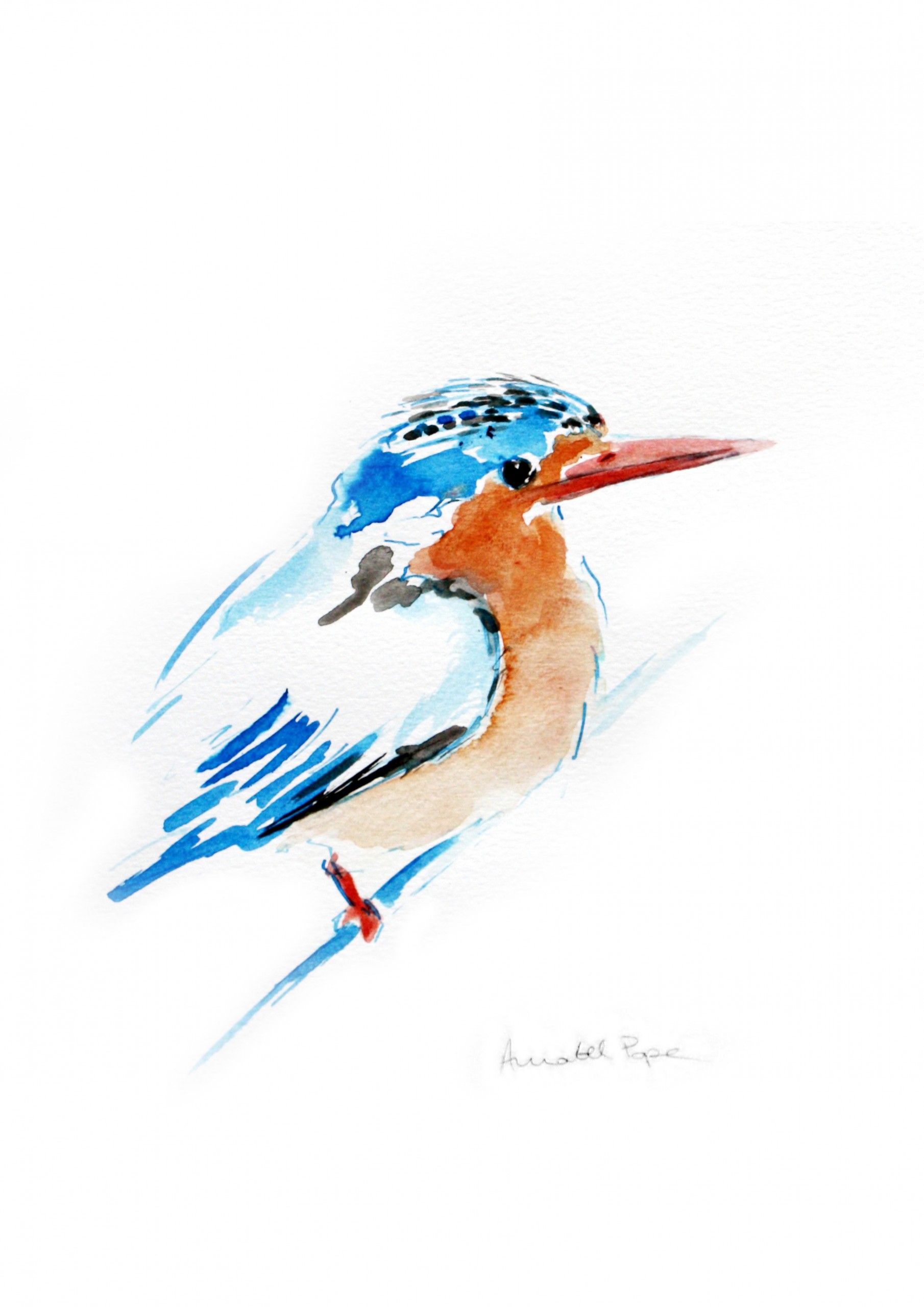 Malachite Kingfisher by Annabel Pope