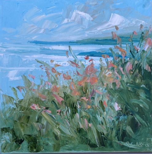 Cardigan Bay, Montbretia by Rupert Aker