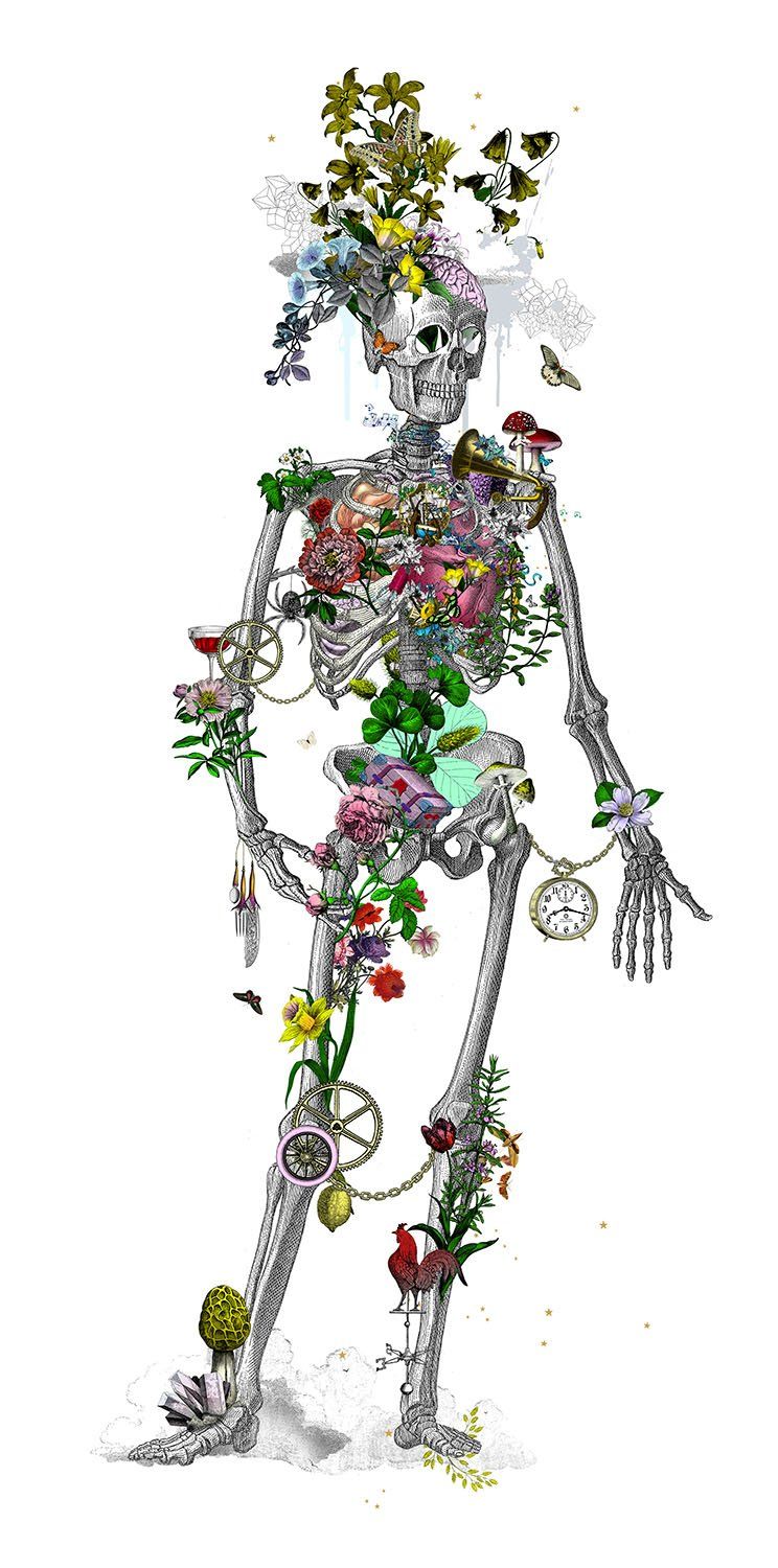Ad Moldu Skaltu Verda - Still Skeleton White by Kristjana Williams