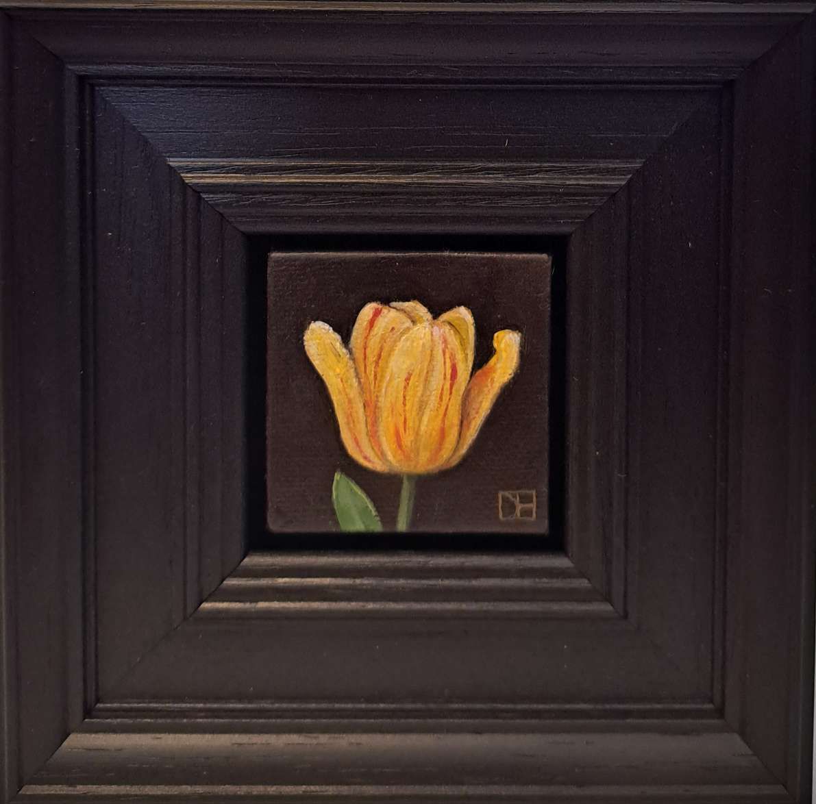 Pocket Striped Bellona Tulip by Dani Humberstone