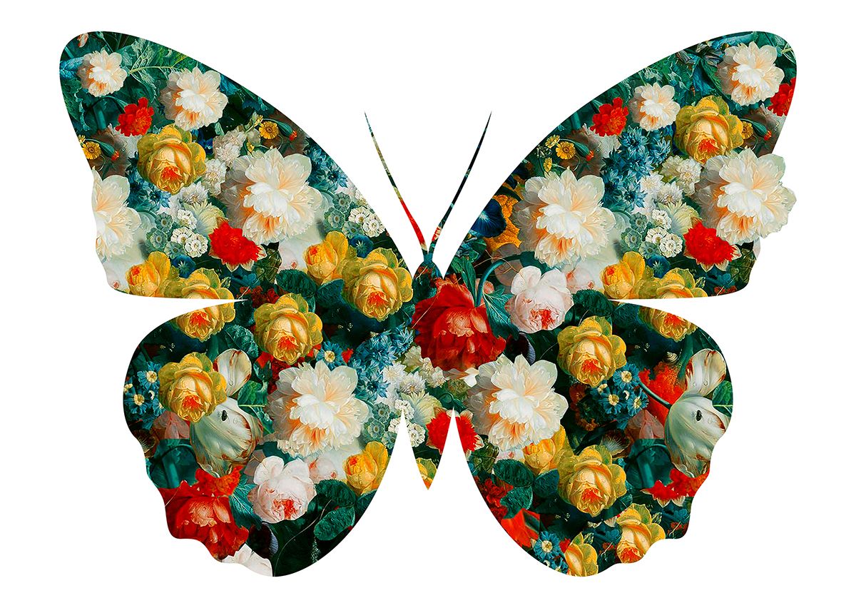 Butterfly 47(white) by Agent X