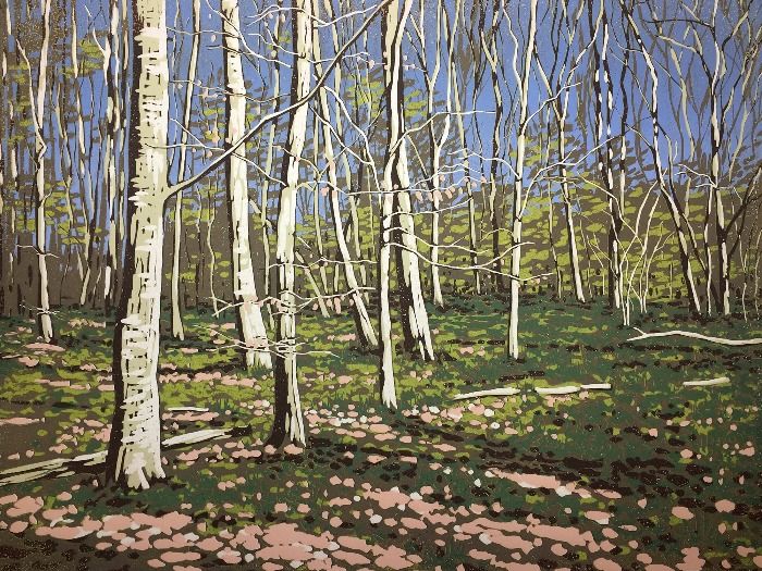 Beeches in Early Spring by Alexandra Buckle