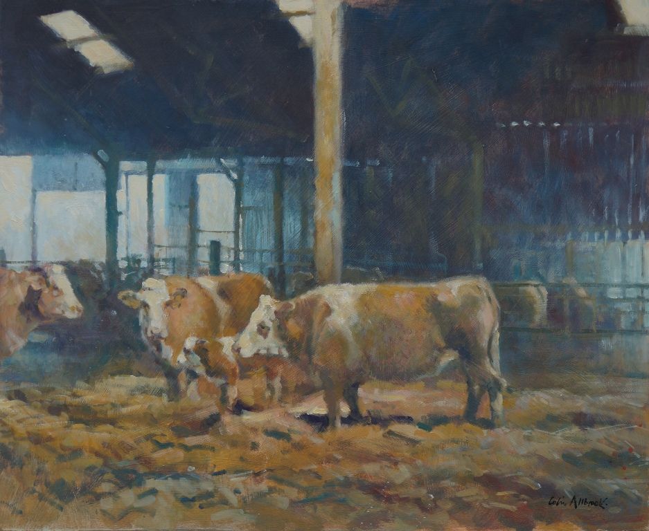 Evening cattle and calf by Colin Allbrook
