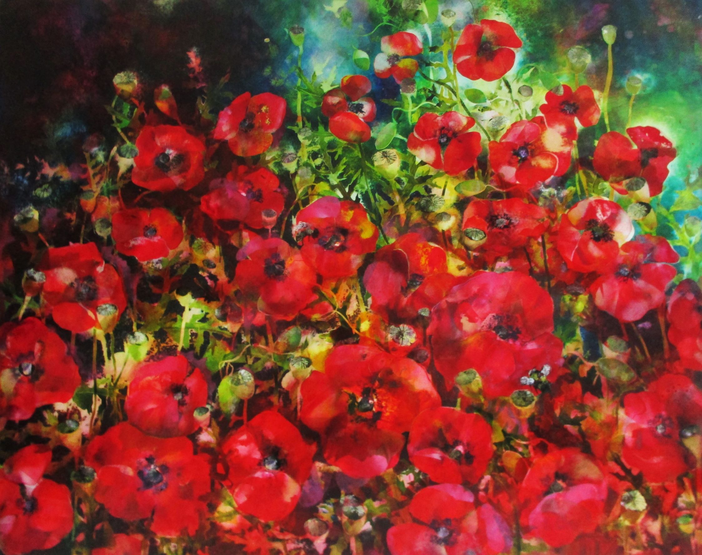 Late Afternoon Sunshine (poppies) by Ann Bridges