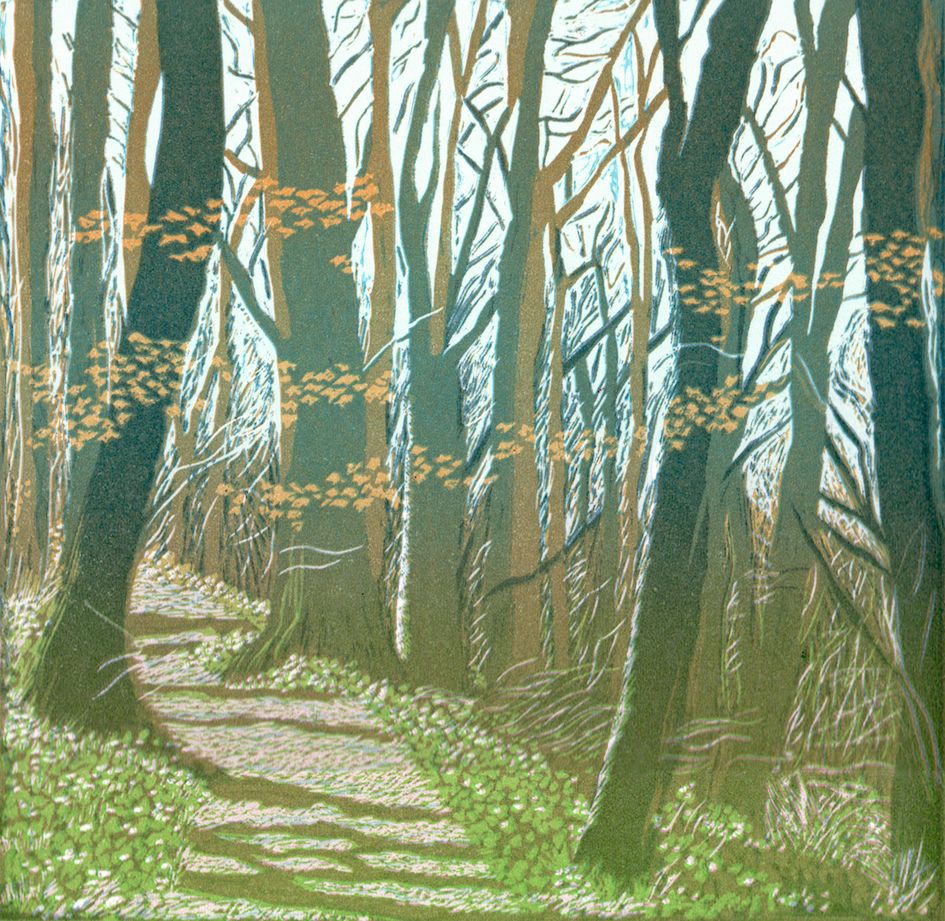 A Woodland Song by Ann Burnham