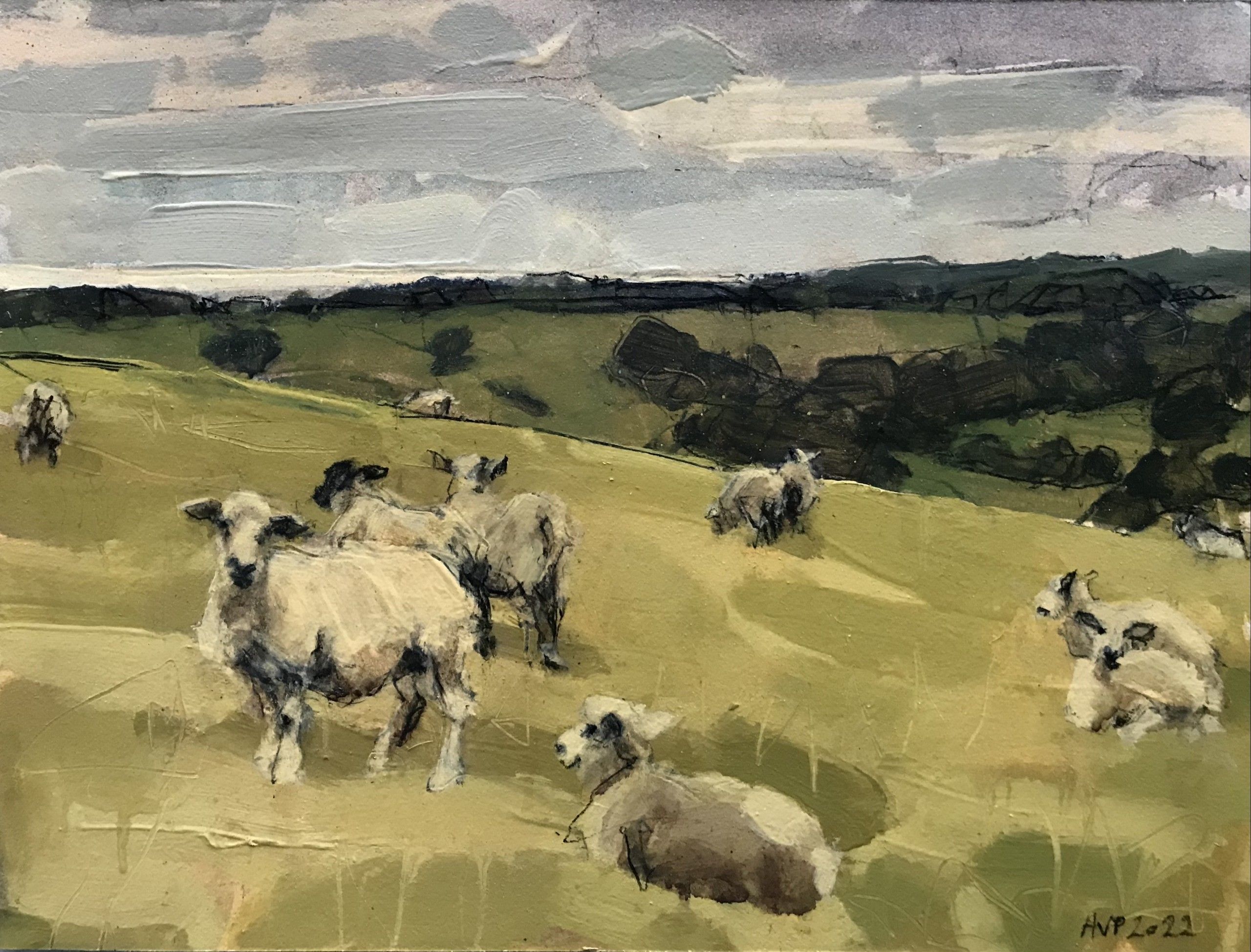 Sheep, South Downs, last day of June II by Anna Pinkster