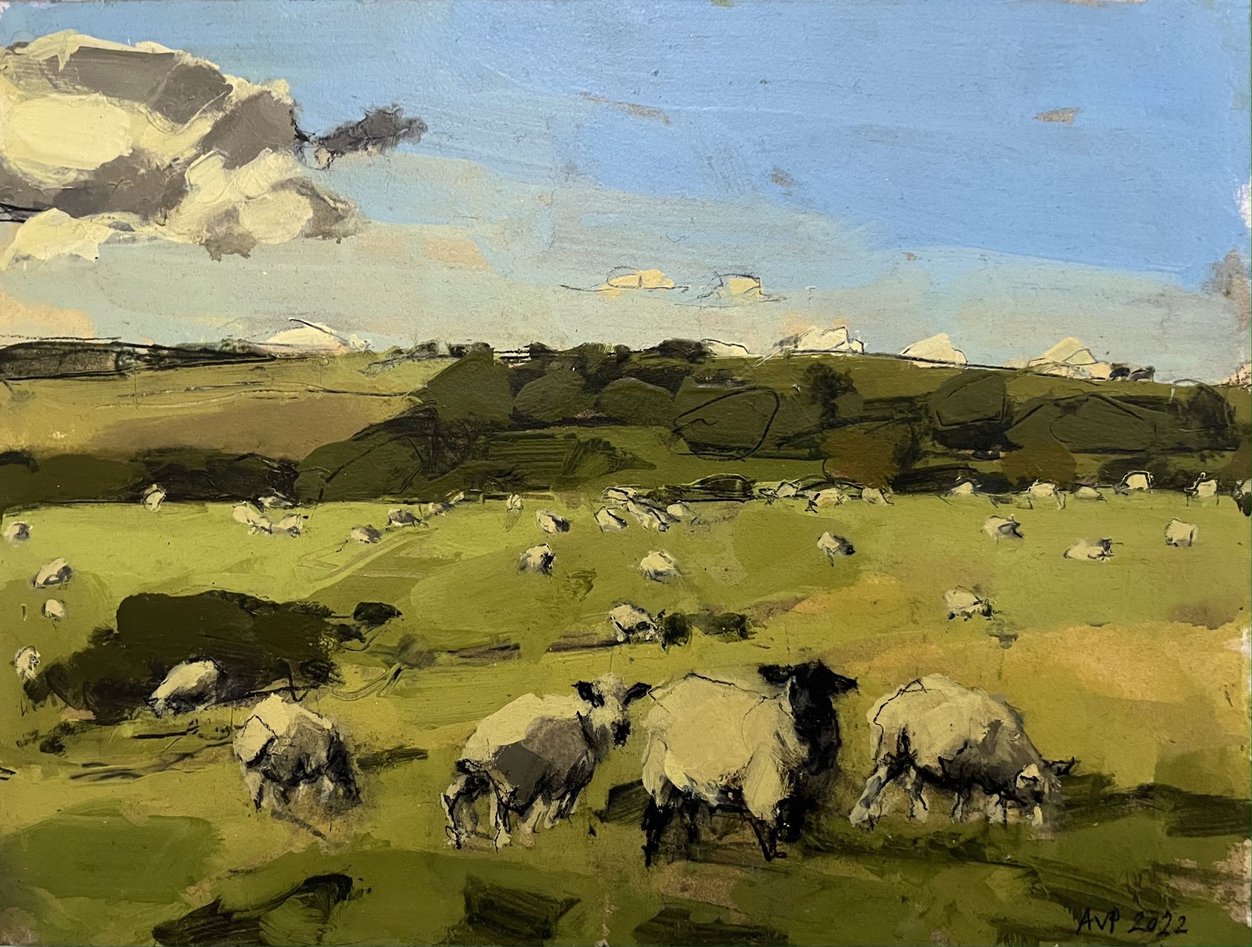 Sheep, South Downs, October III by Anna Pinkster