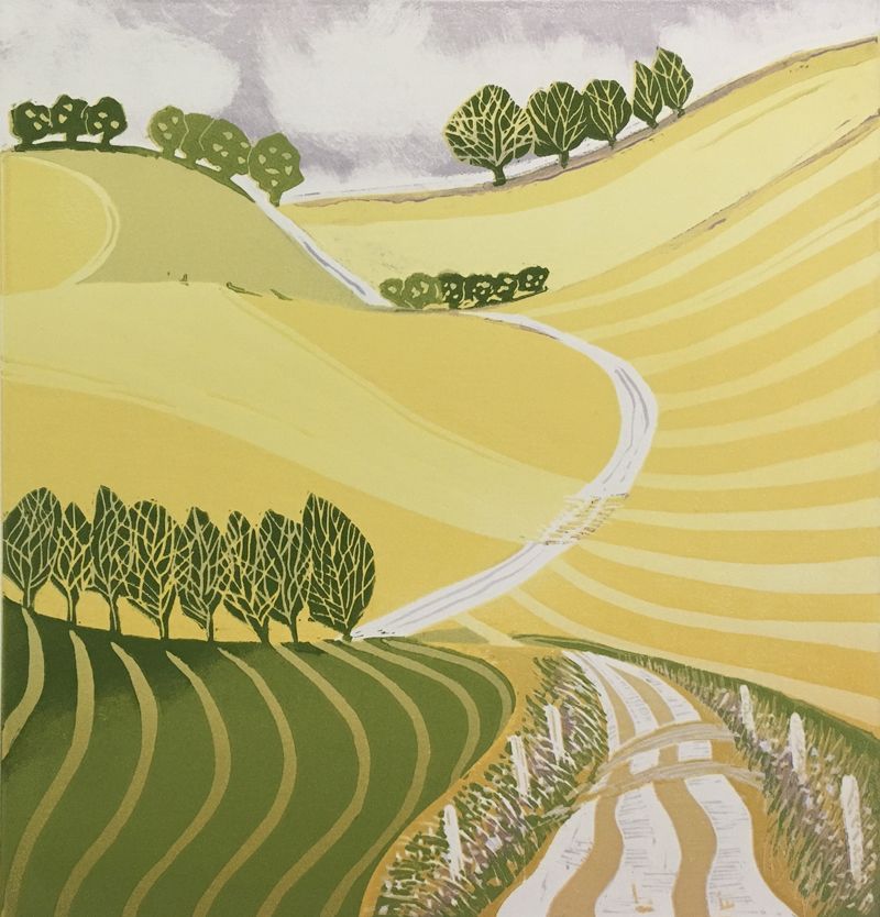 The Fields of Gold by Ann Burnham