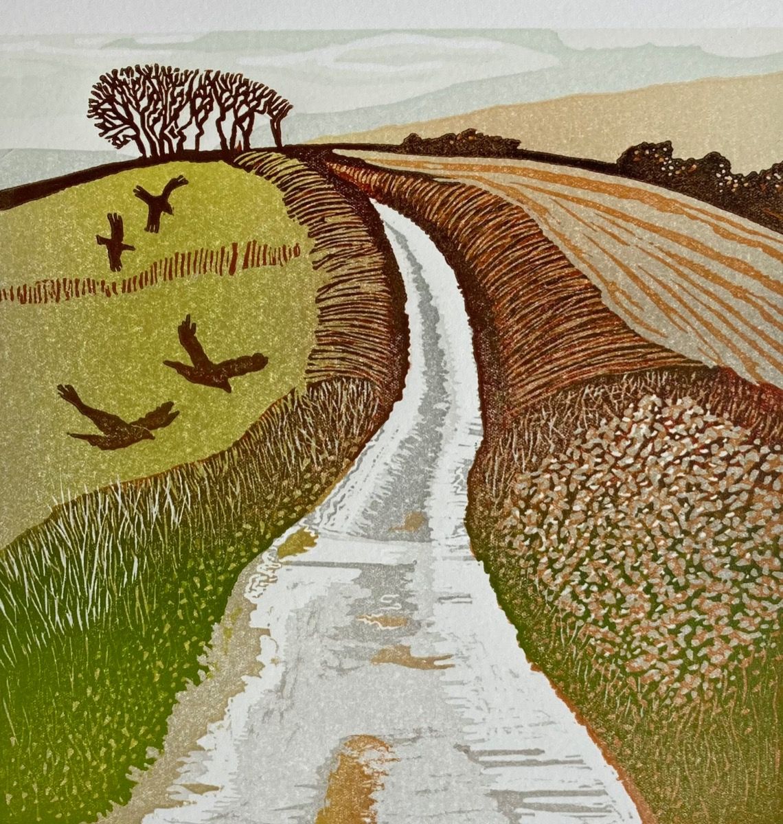 The Road to Coleton Fishacre by Ann Burnham