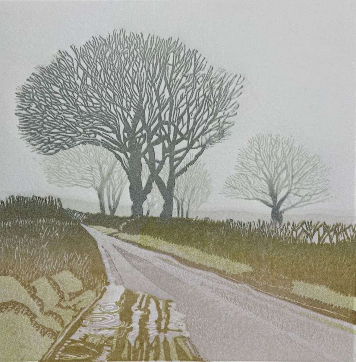 Trees in the Mist by Ann Burnham