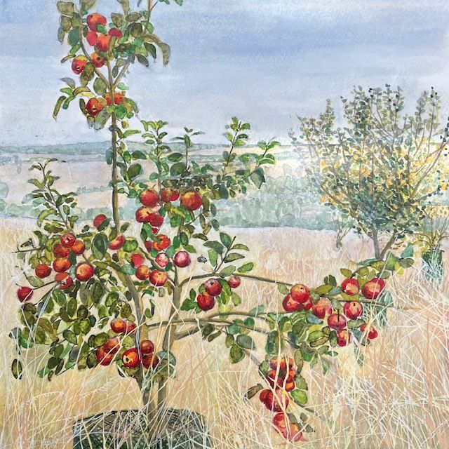 Heritage Orchard Apples by Judith Yarrow