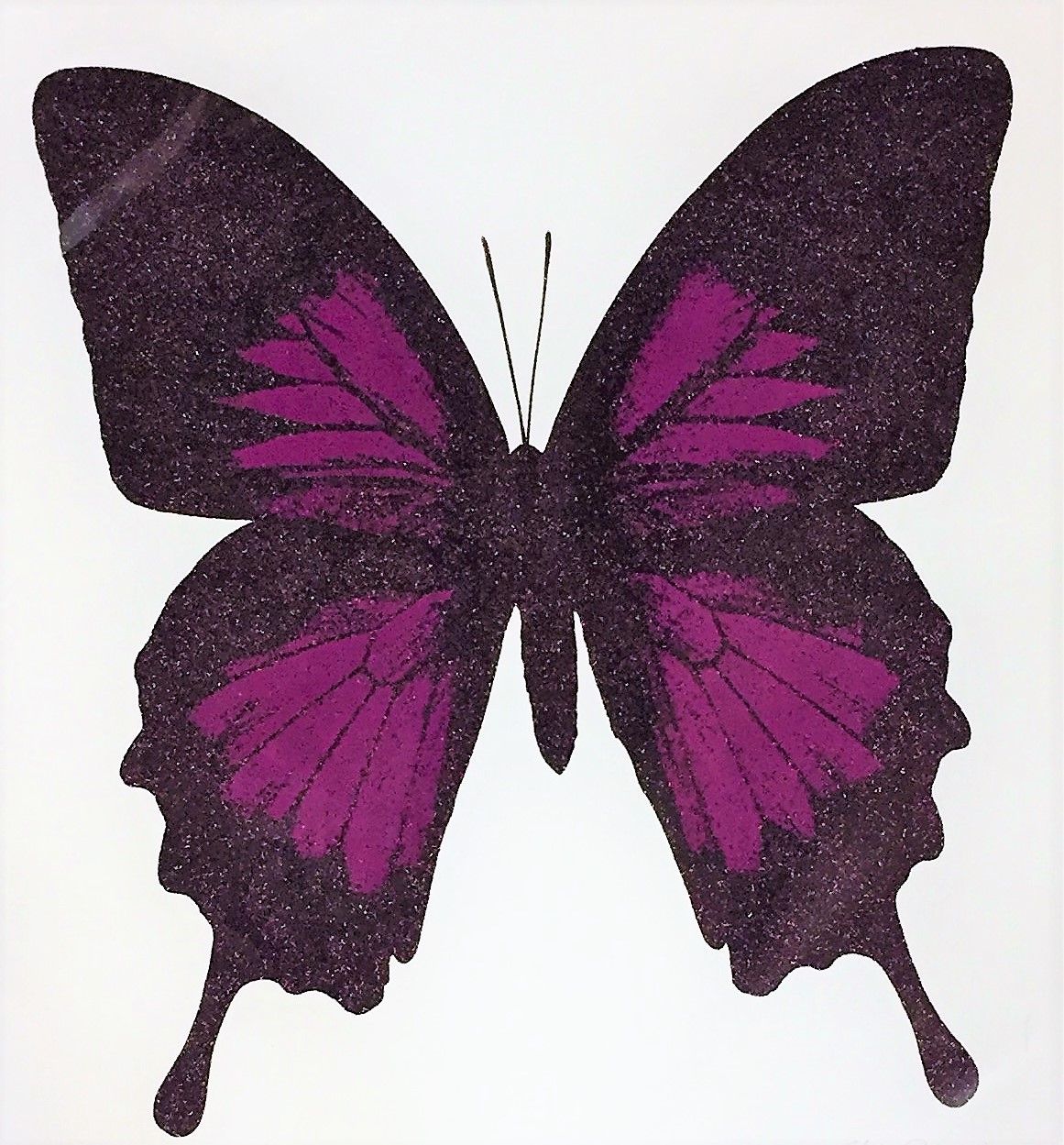 Papilio Ulysses - Aubergine by Claire Robinson