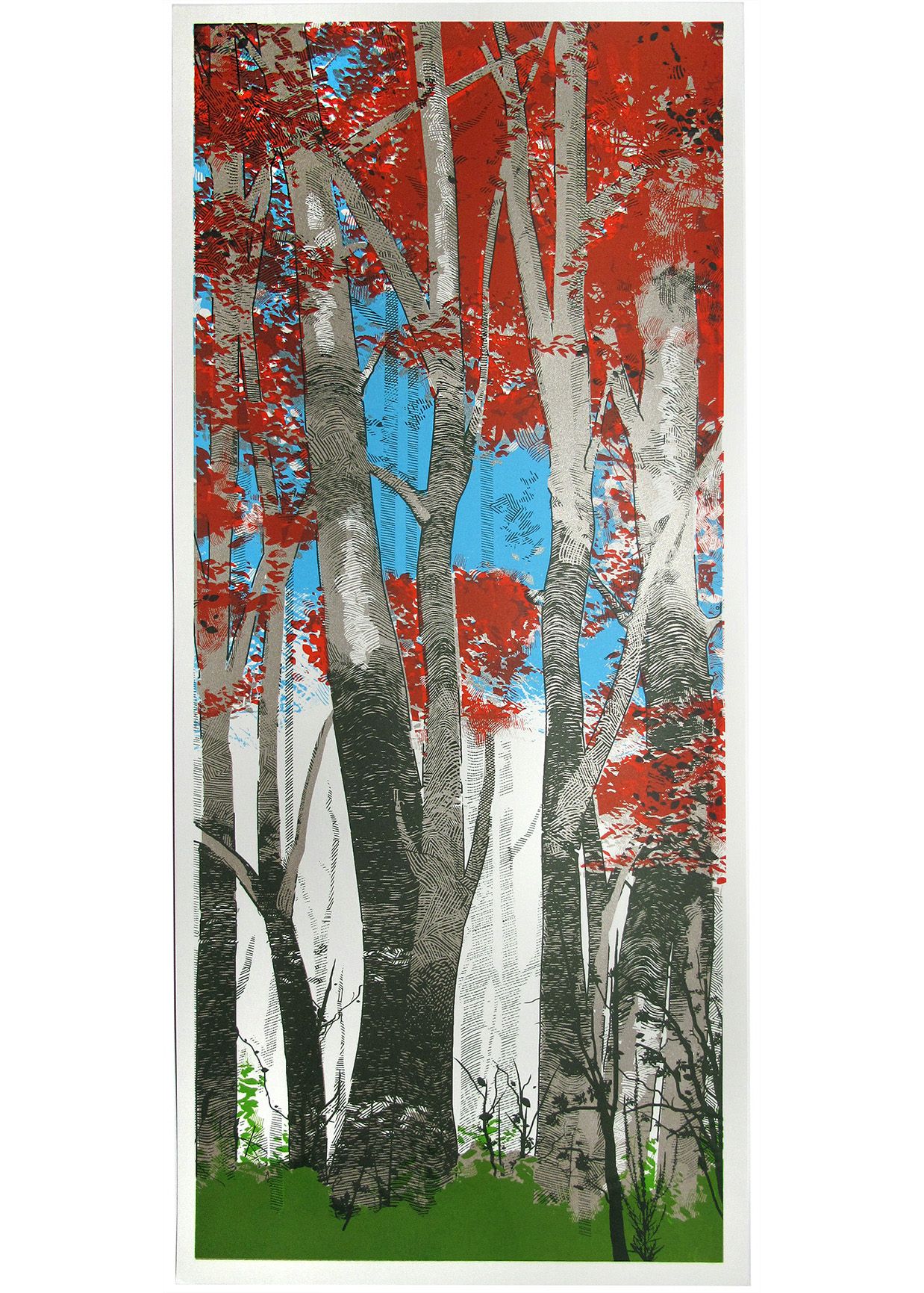 Woodland Birch by Chris Keegan