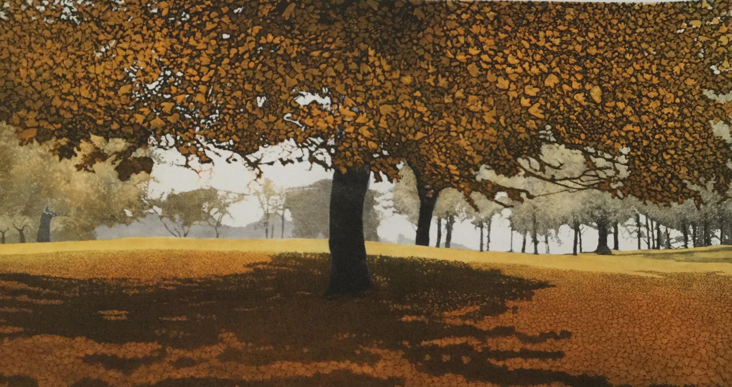 Autumn Heath by Phil Greenwood