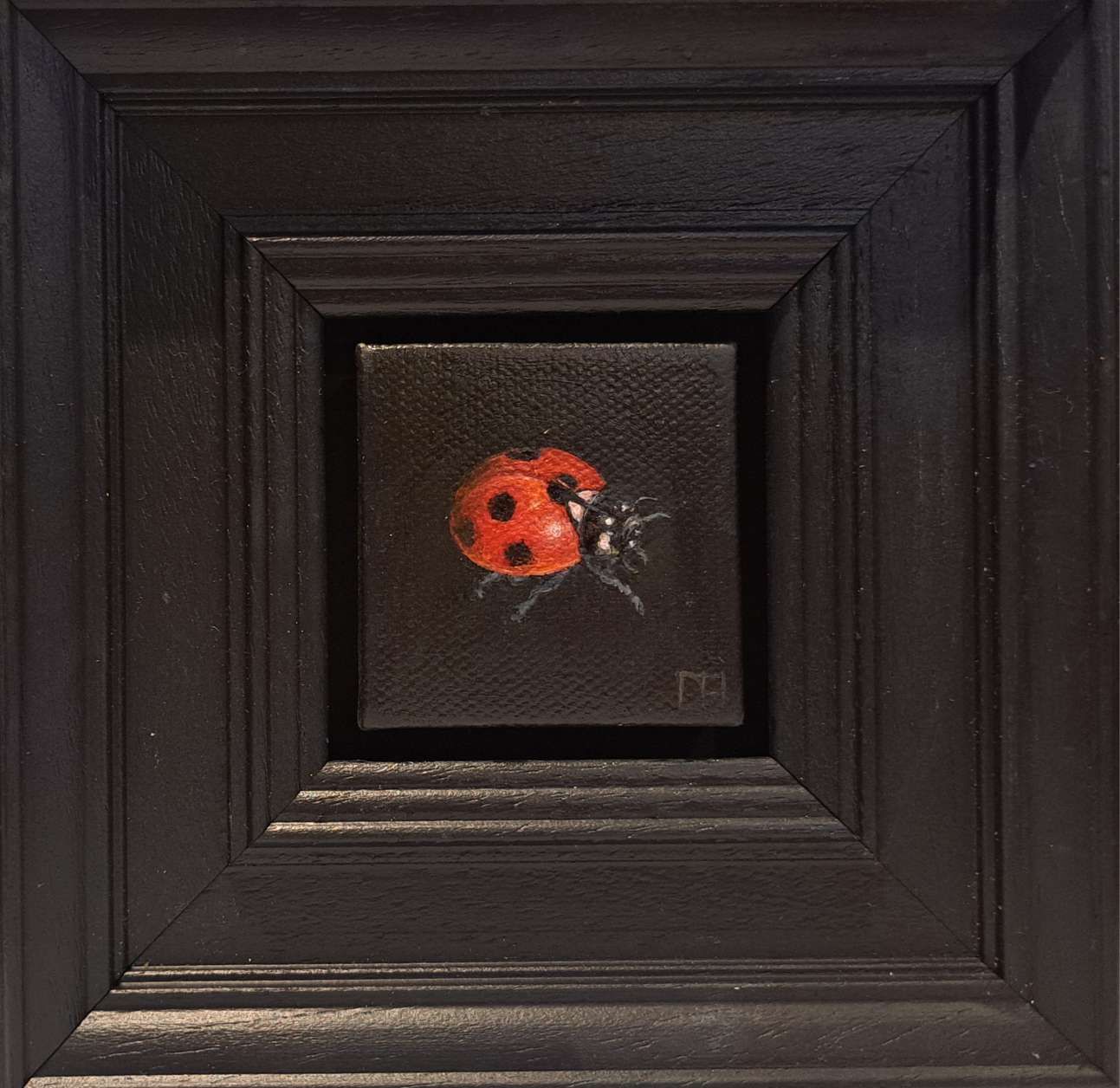 Pocket Ladybird  by Dani Humberstone