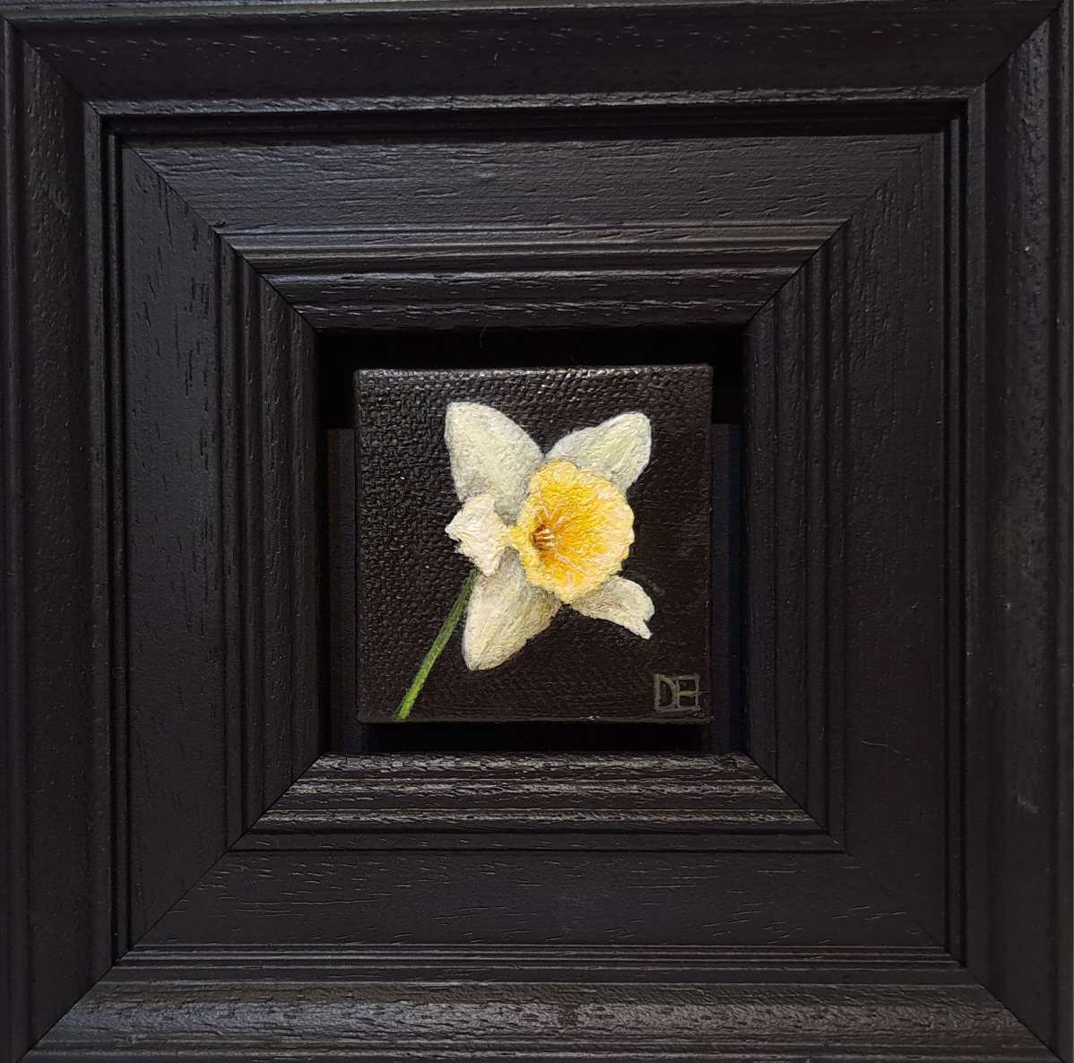 Spring Collection: Pocket Daffodil  by Dani Humberstone