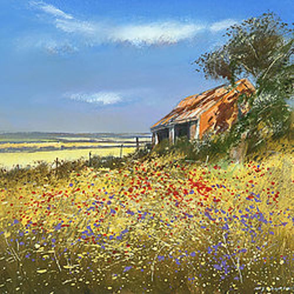 Barn in Summer by Michael Sanders
