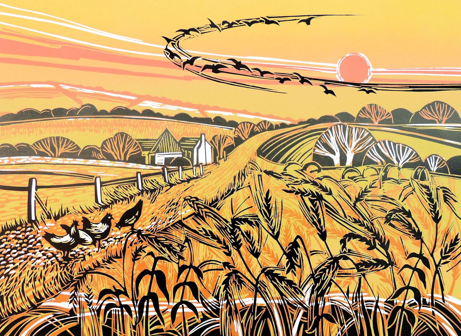 Harvest Field by Rob Barnes