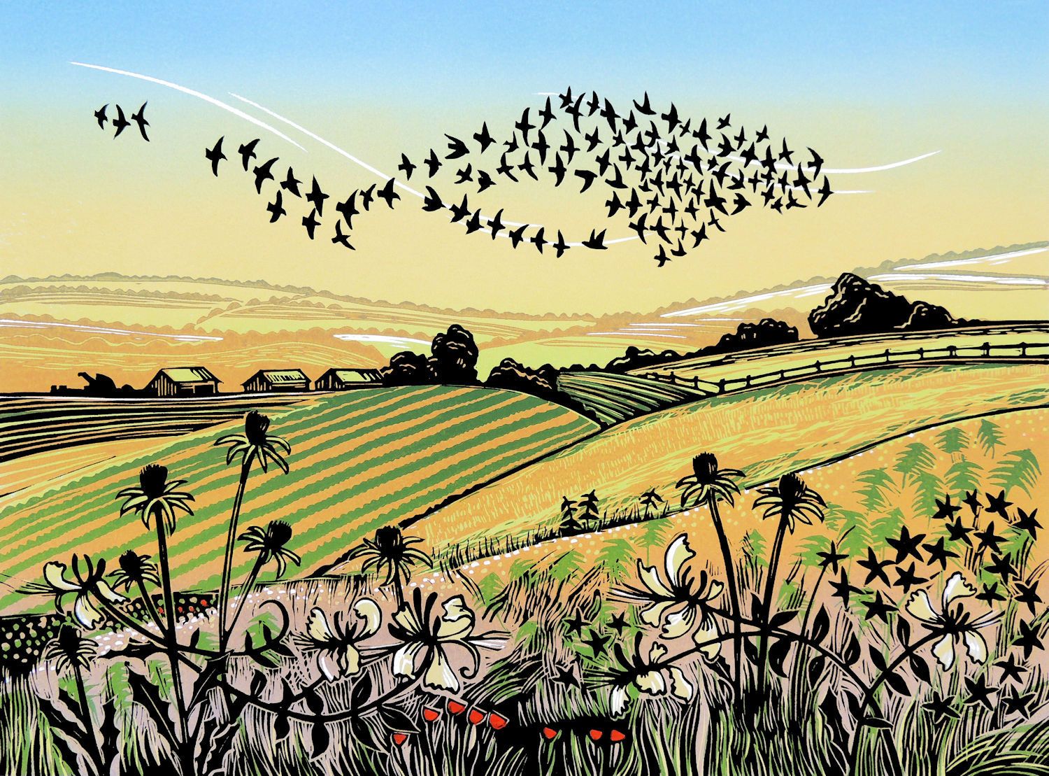 Over The Fields by Rob Barnes