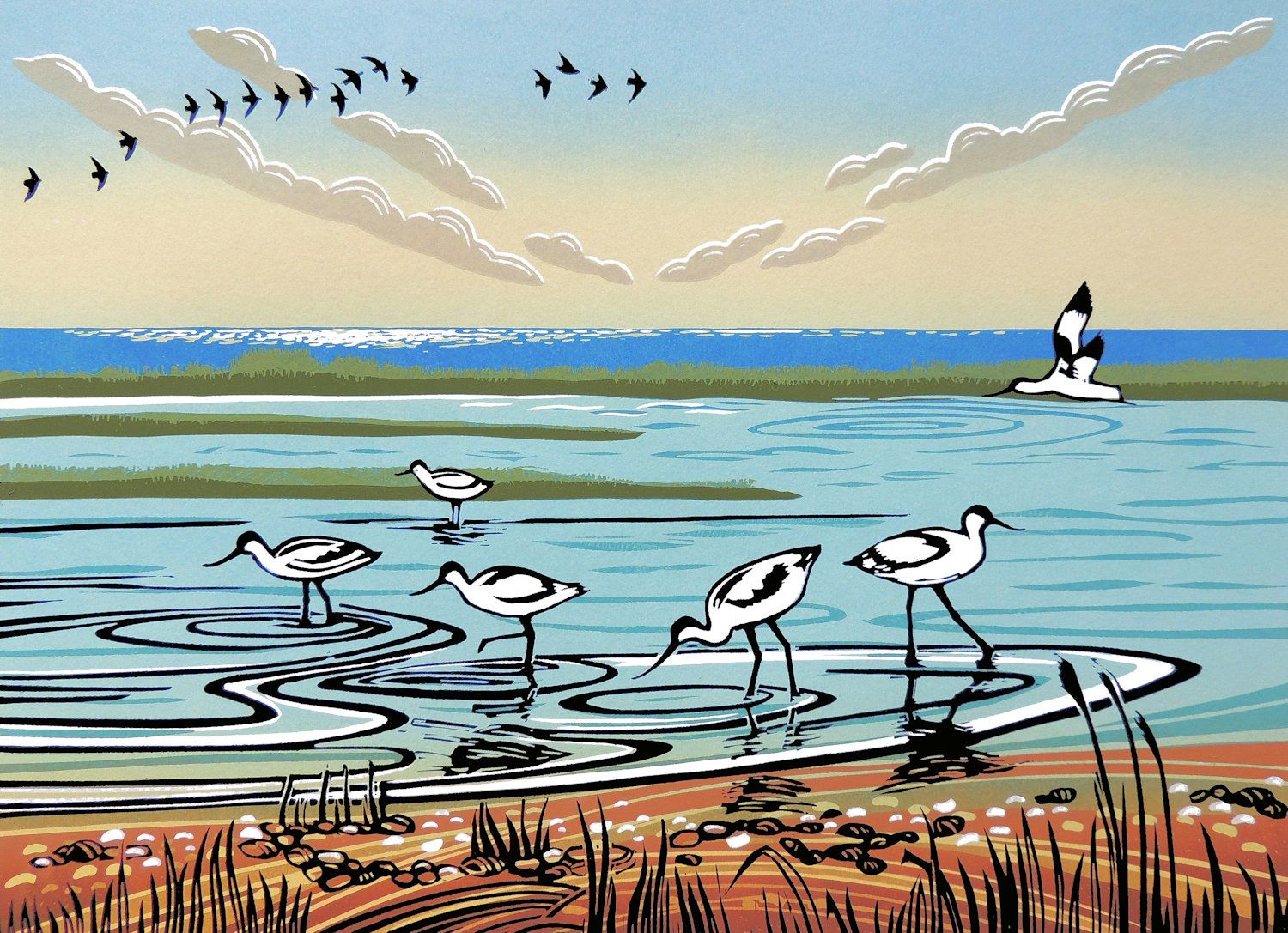 Avocets by Rob Barnes