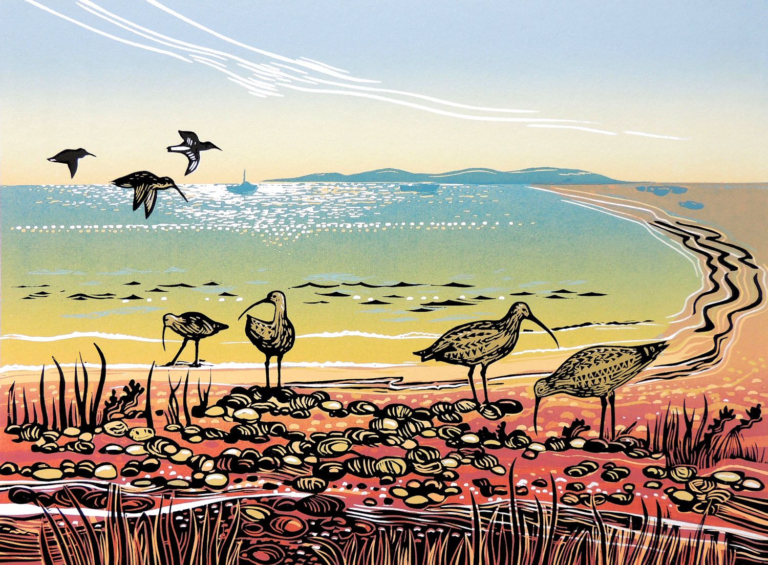 Curlews on the Coast by Rob Barnes