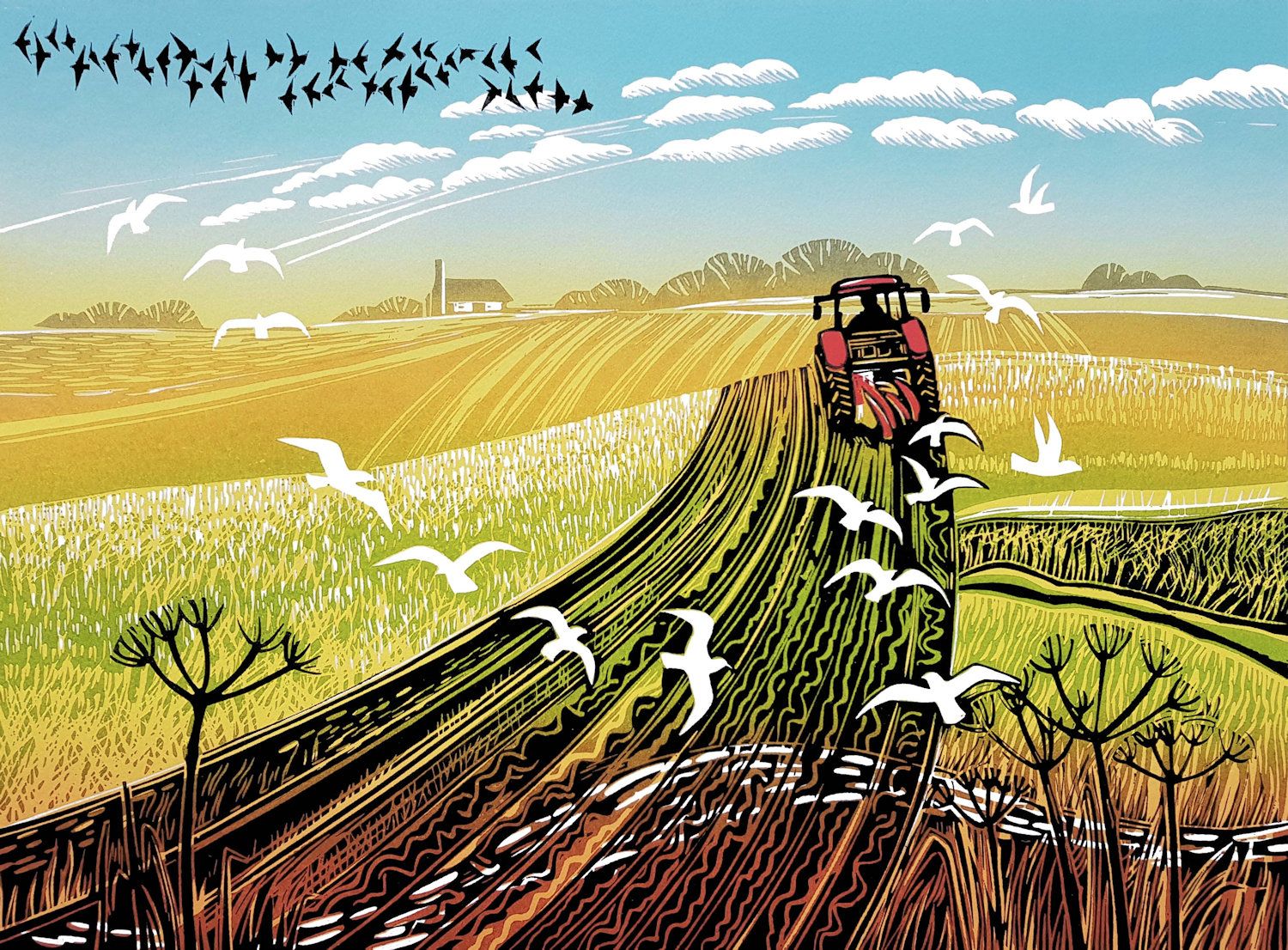 Ploughing the Furrows by Rob Barnes