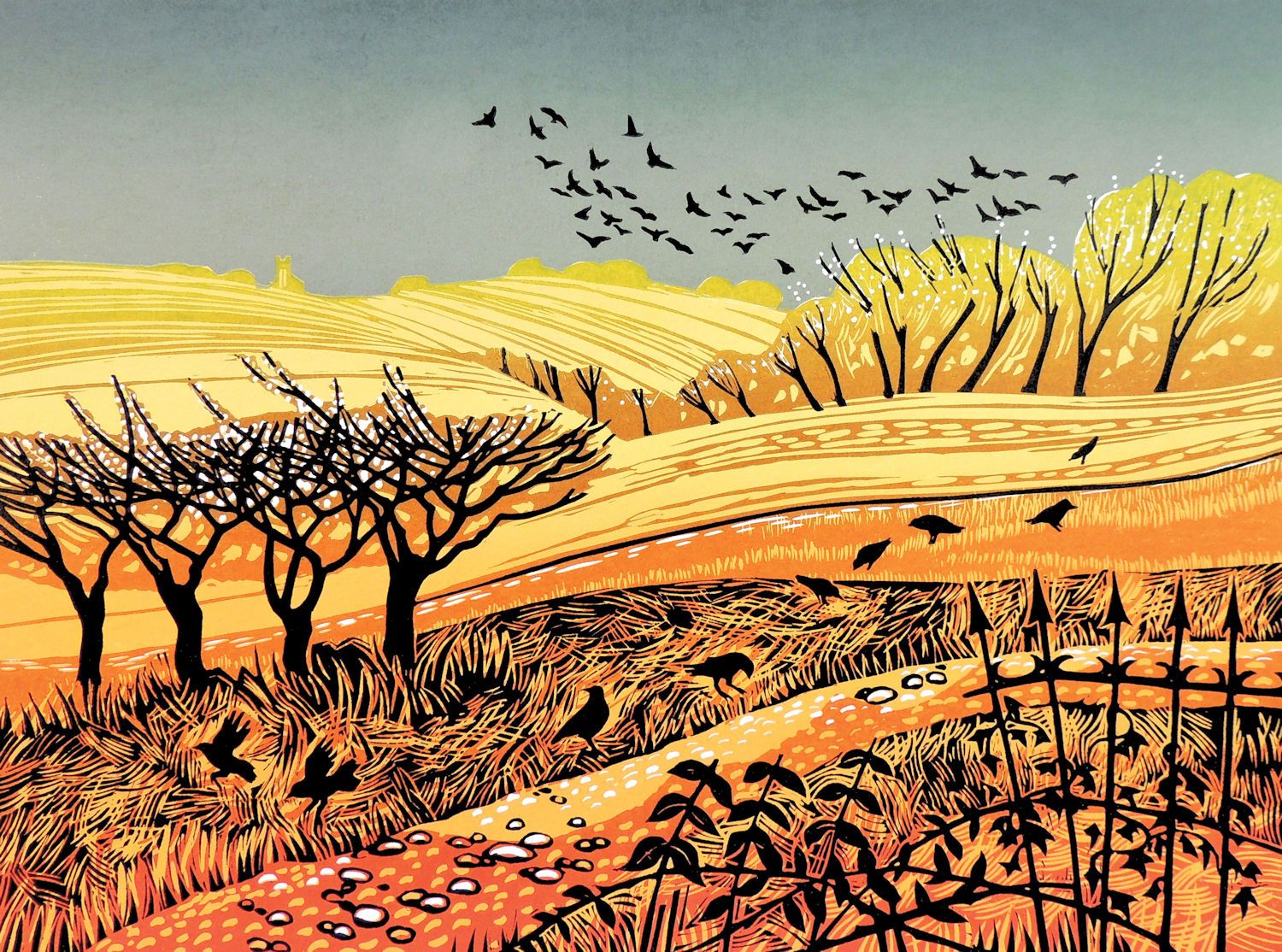 Sunlit Fields by Rob Barnes