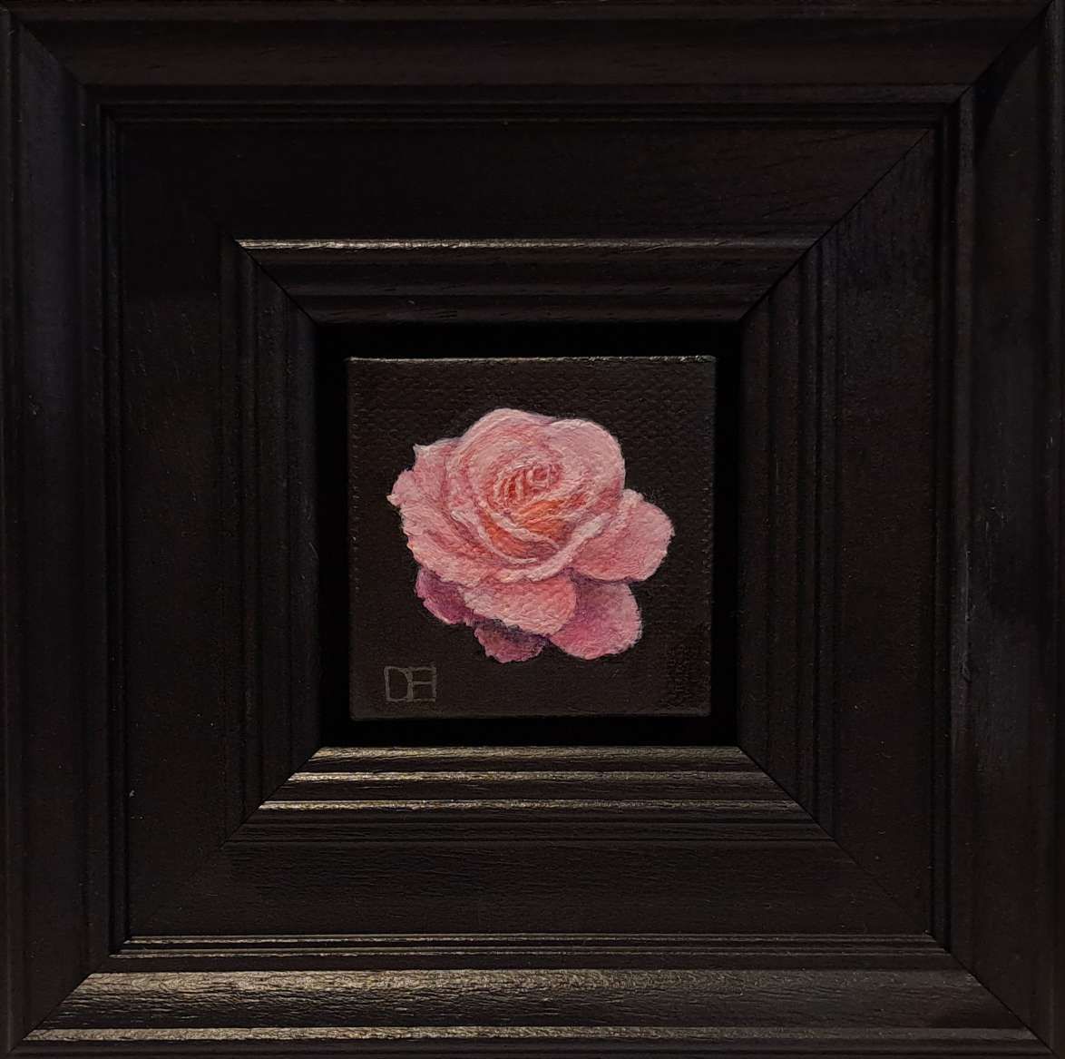 Pocket Pink Rose  by Dani Humberstone