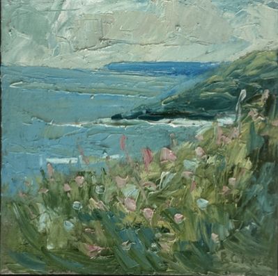 Cornish coast by Rupert Aker