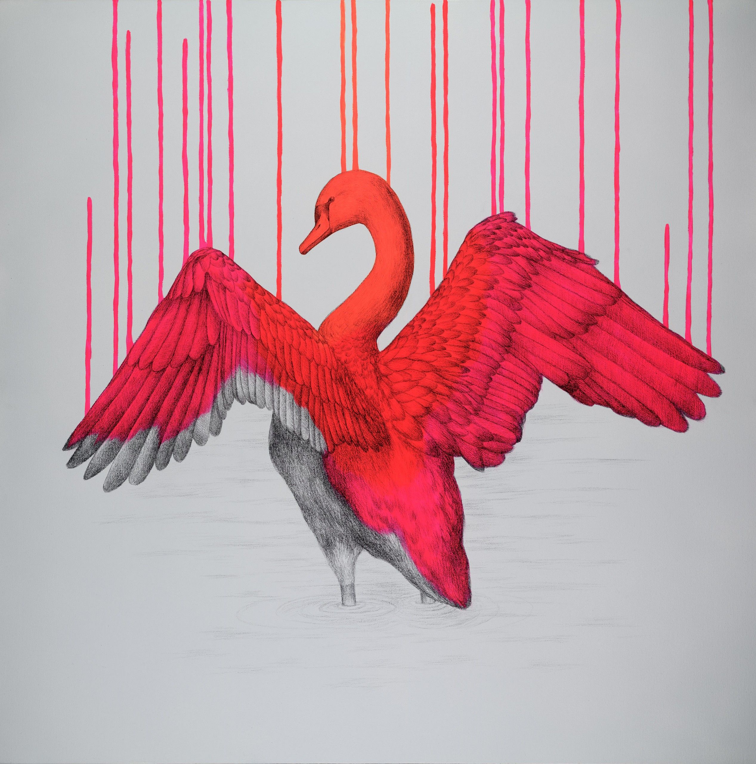 Beautifully Wild by Louise Mcnaught