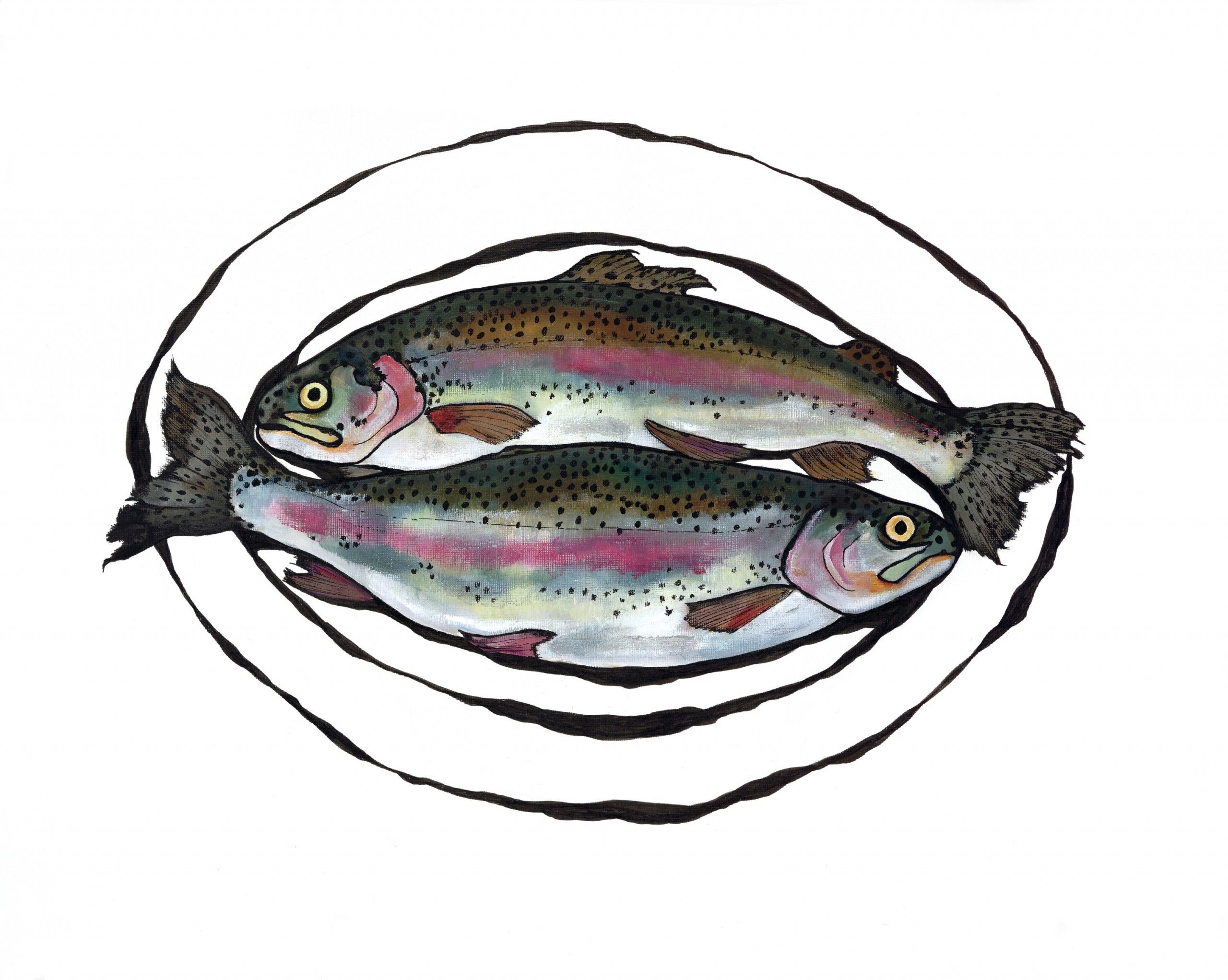 Blagdon Trout by Lucy Routh