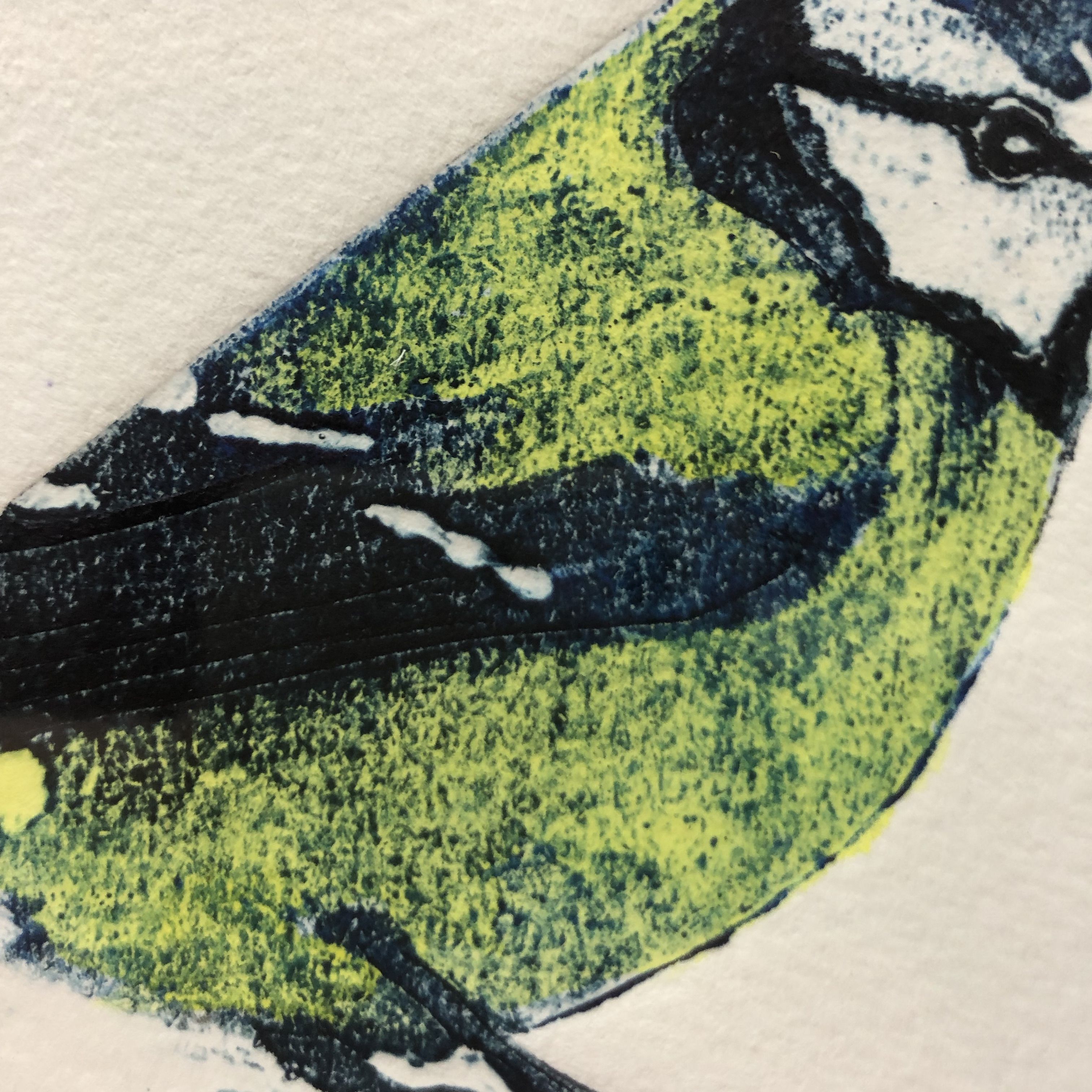 Blue Tit by sue brown - Secondary Image